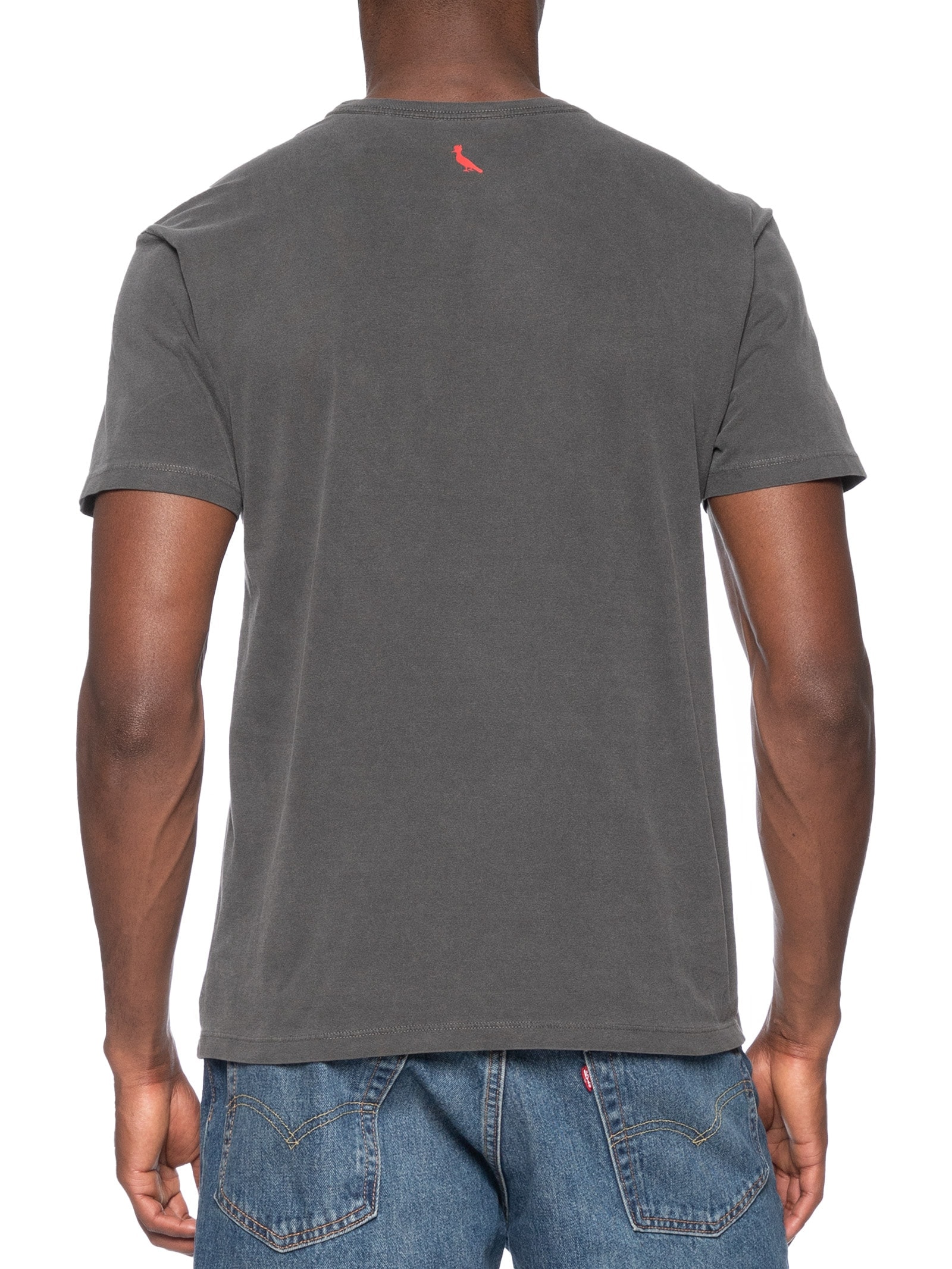 Camiseta Masculina Pica Pau Citric Summer Cinza Reserva