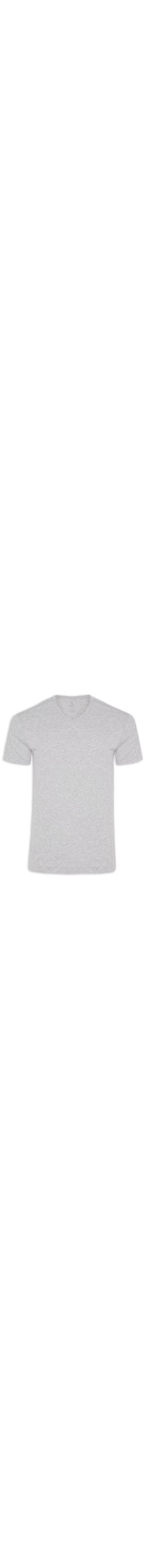 Camiseta Masculina Pima Manga Curta Gola V Regular Fit - Cinza