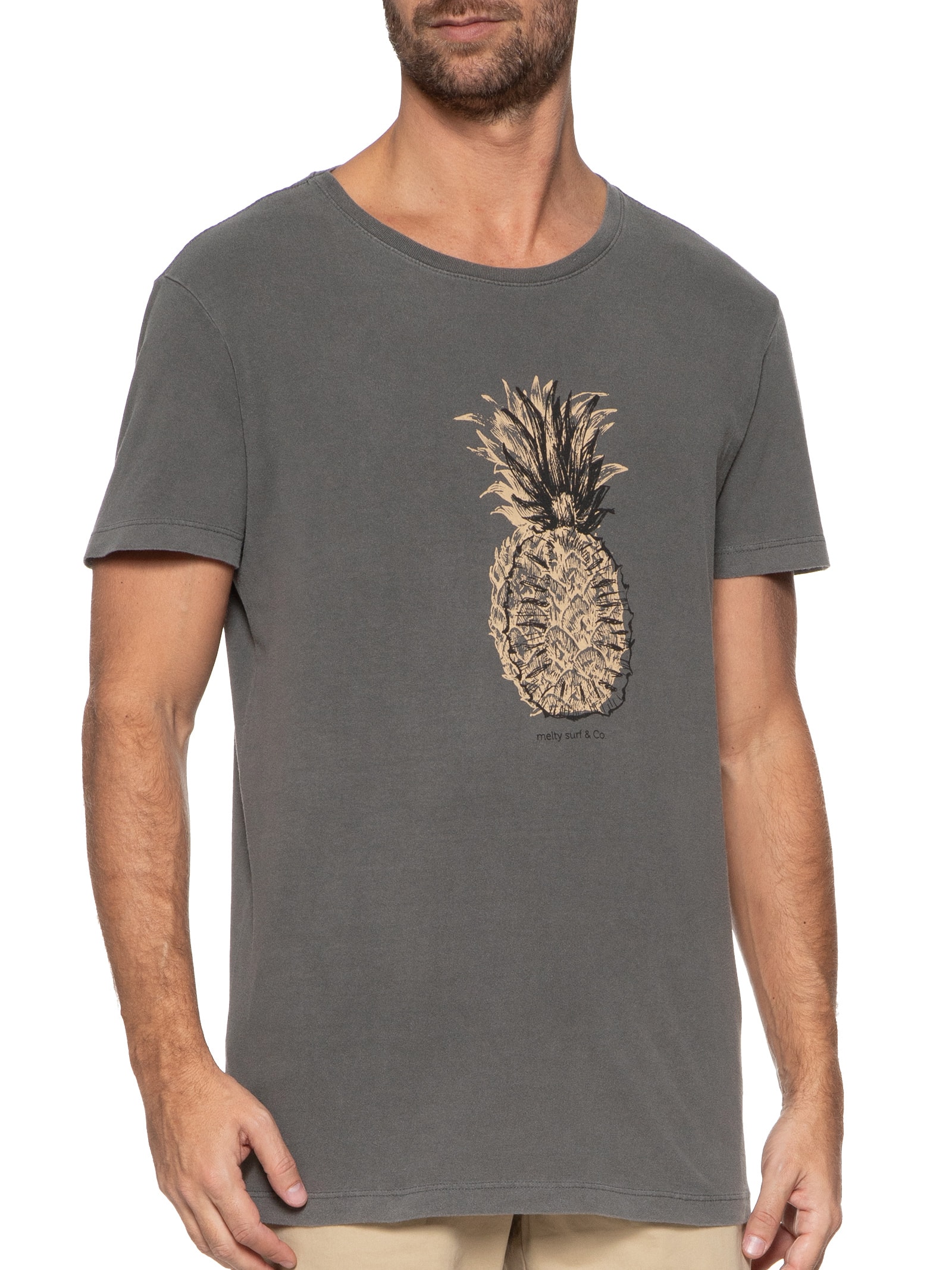 Camiseta Masculina Pineapple Cinza Melty Rj