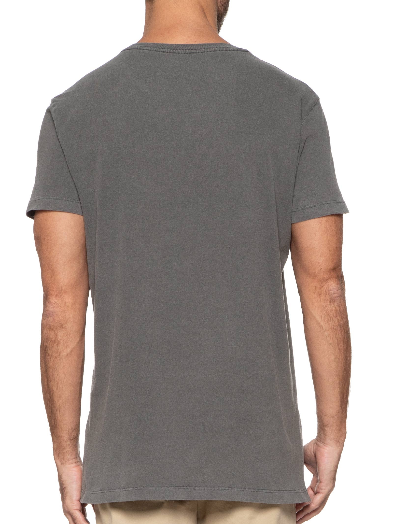 Camiseta Masculina Pineapple Cinza Melty Rj