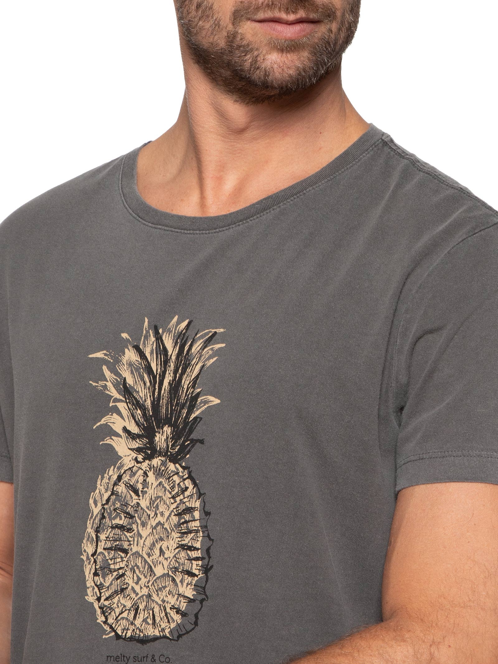 Camiseta Masculina Pineapple Cinza Melty Rj