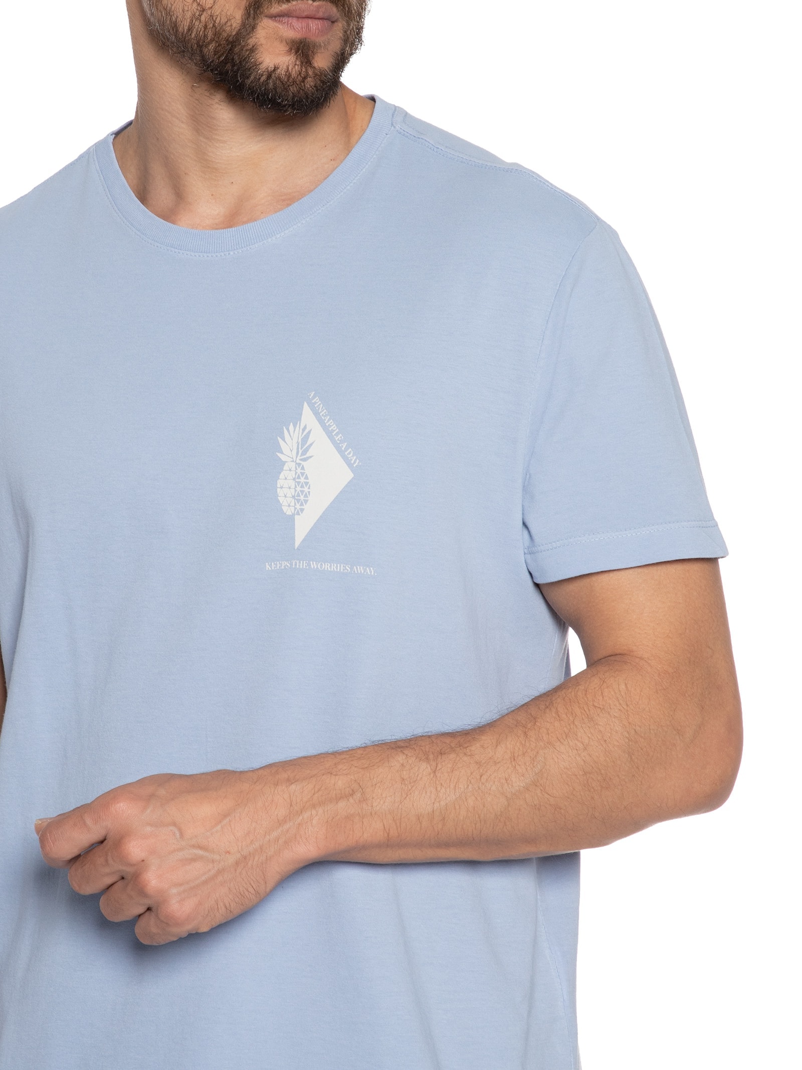 Camiseta Masculina Pinneaple Azul Foxton