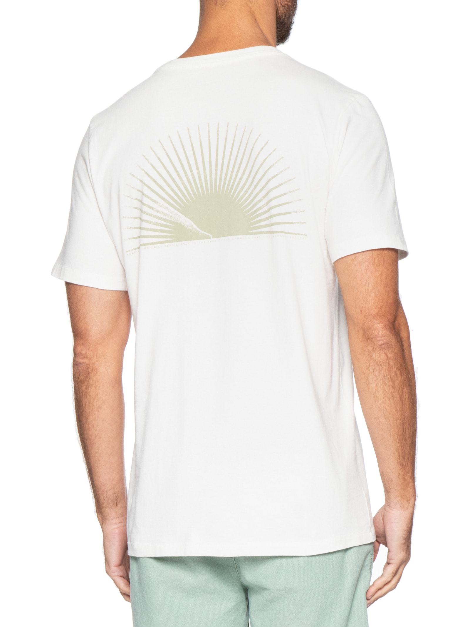 Camiseta Masculina Porco Espinho Branco Austral