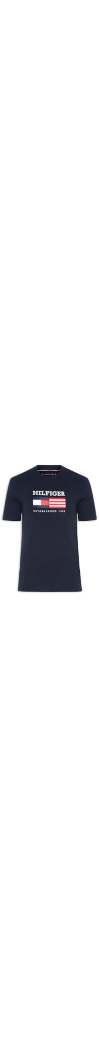 Camiseta Masculina Regular Fit Americana Monotype Flag Box - Azul