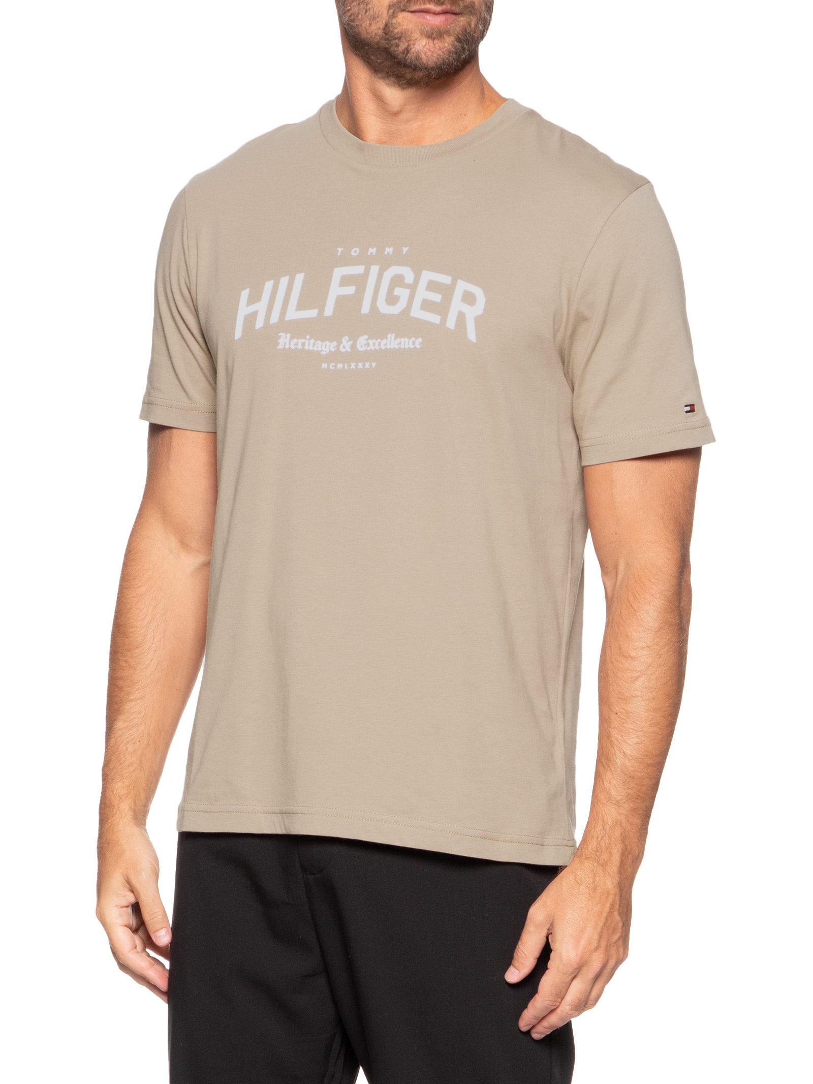 Camiseta Masculina Regular Fit Arch Logo Bege Tommy Hilfiger