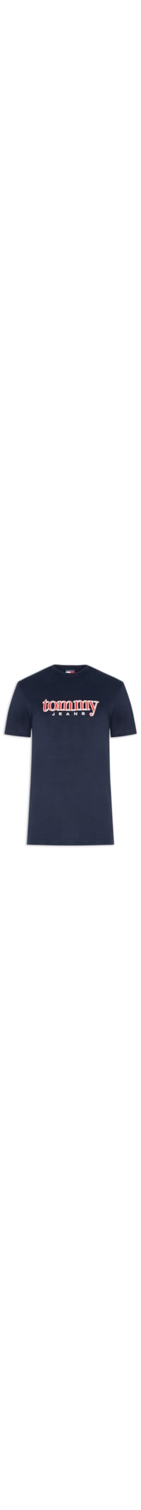 Camiseta Masculina Regular Fit Bordado Com Aplicação - Azul