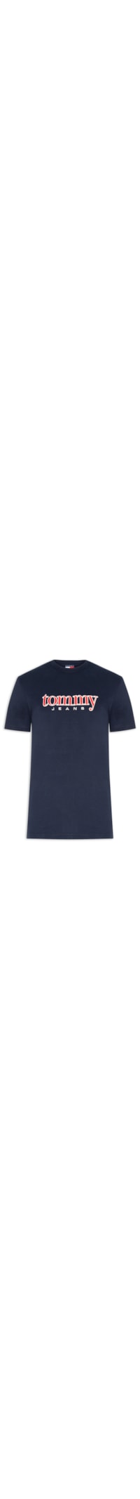 Camiseta Masculina Regular Fit Bordado Com Aplicação - Azul