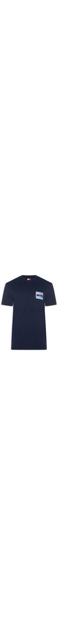 Camiseta Masculina Regular Fit Com Silk - Azul