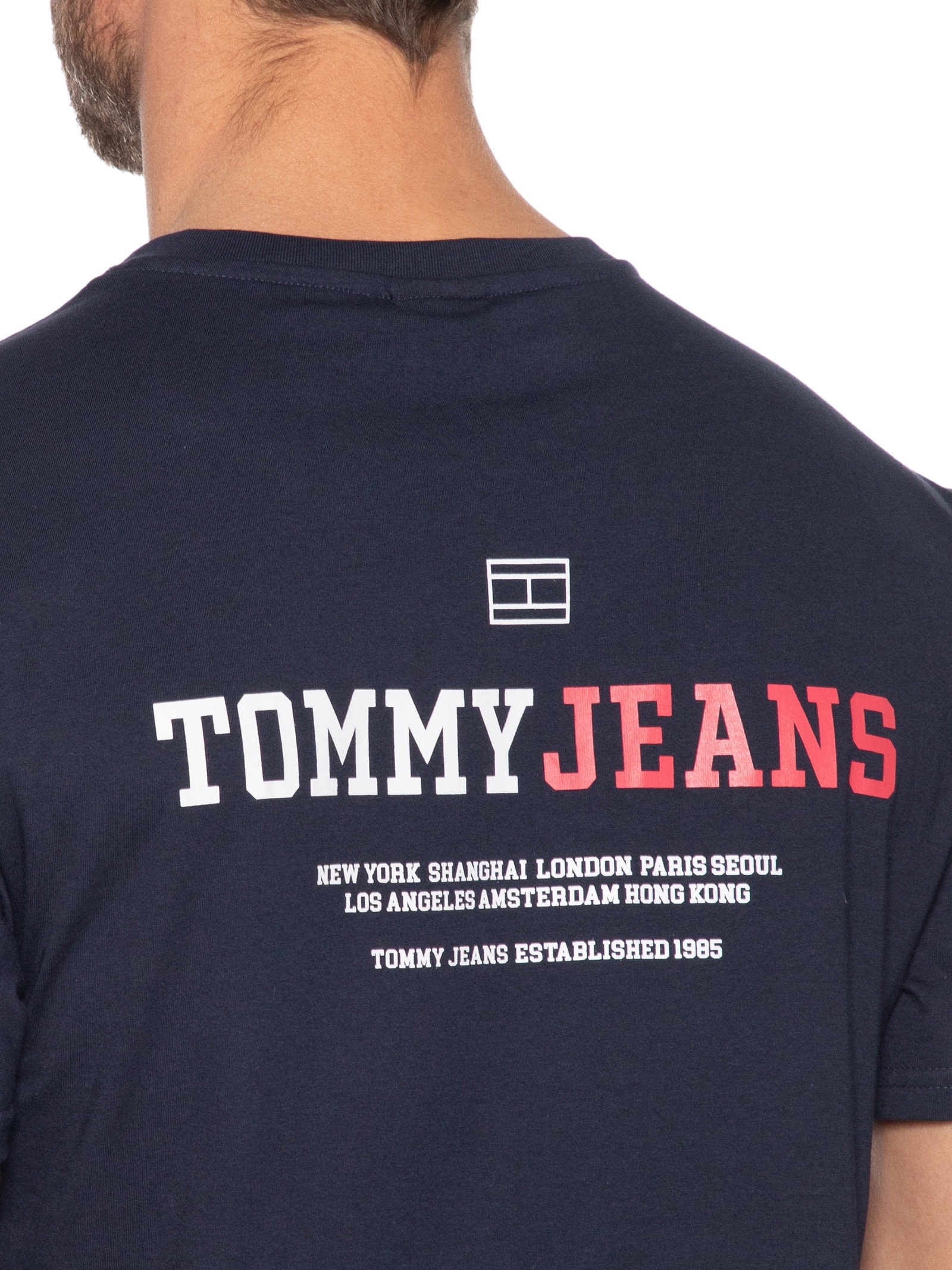 Camiseta Masculina Regular Fit Dna Grafhic Azul Tommy Jeans
