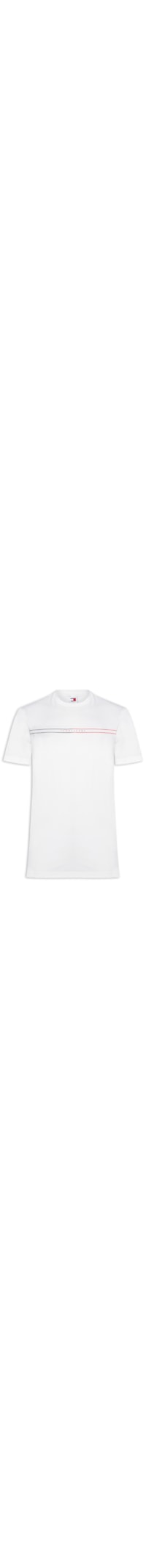 Camiseta Masculina Regular Fit Entry Graphic - Branco