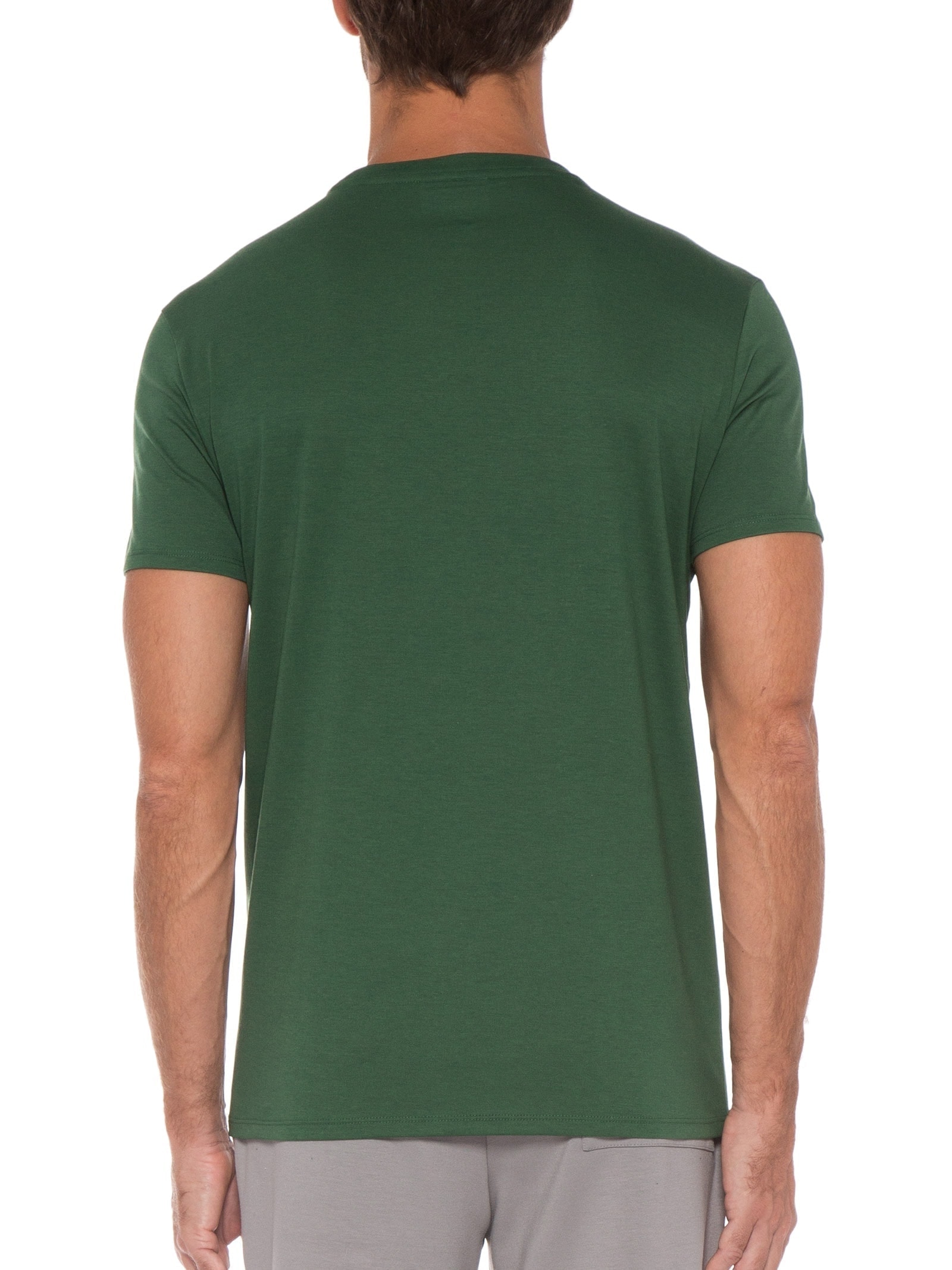 Camiseta Masculina Regular Fit Gola Redonda Em Algodão Pima Verde Lacoste