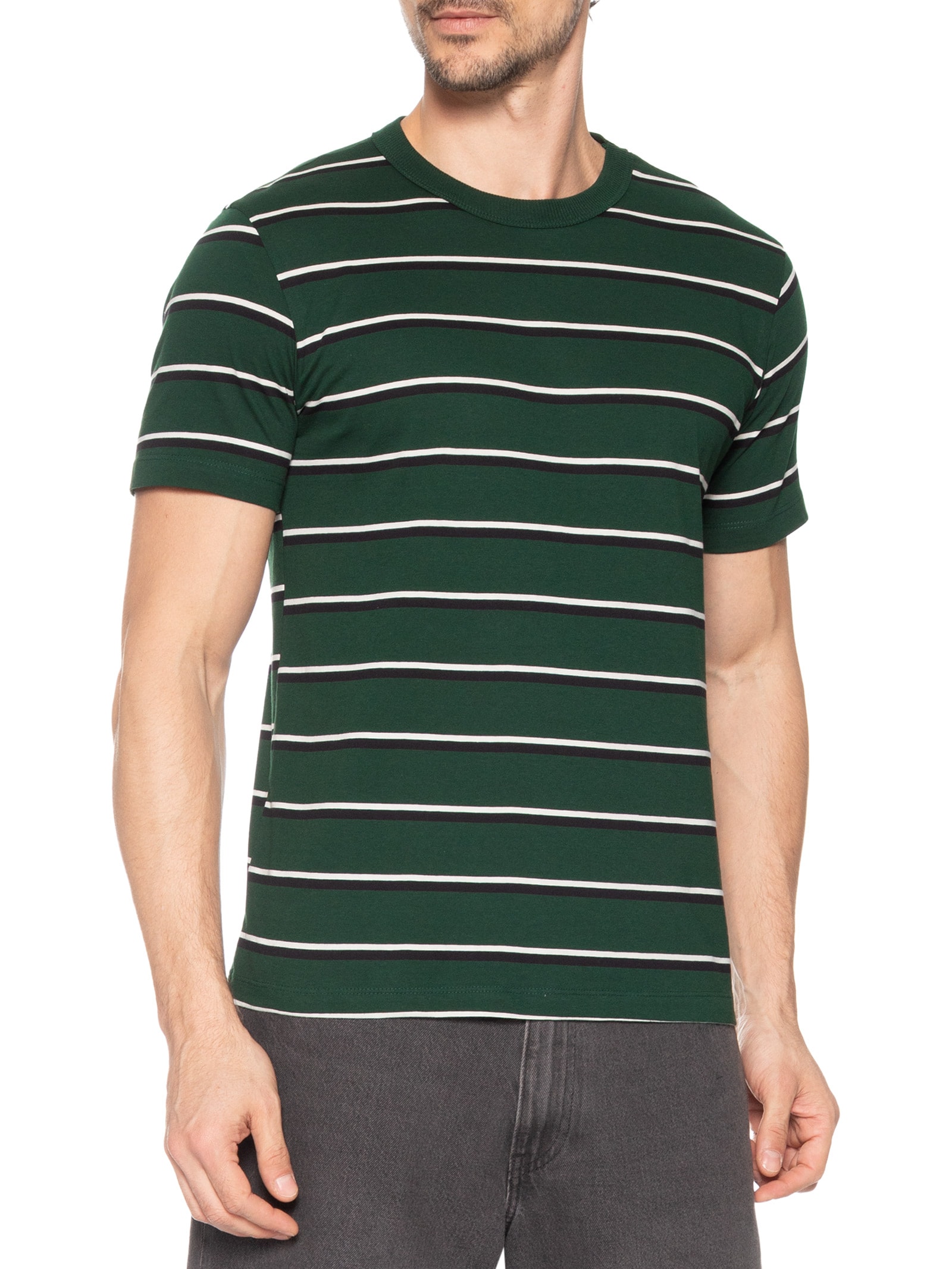 Camiseta Masculina Regular Fit Listrada Fio Tinto Verde Hering