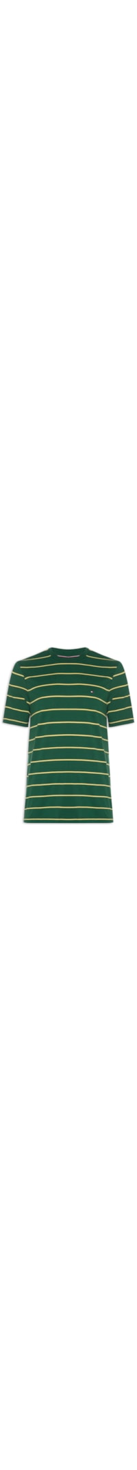 Camiseta Masculina Regular Fit Stripe Em - Verde