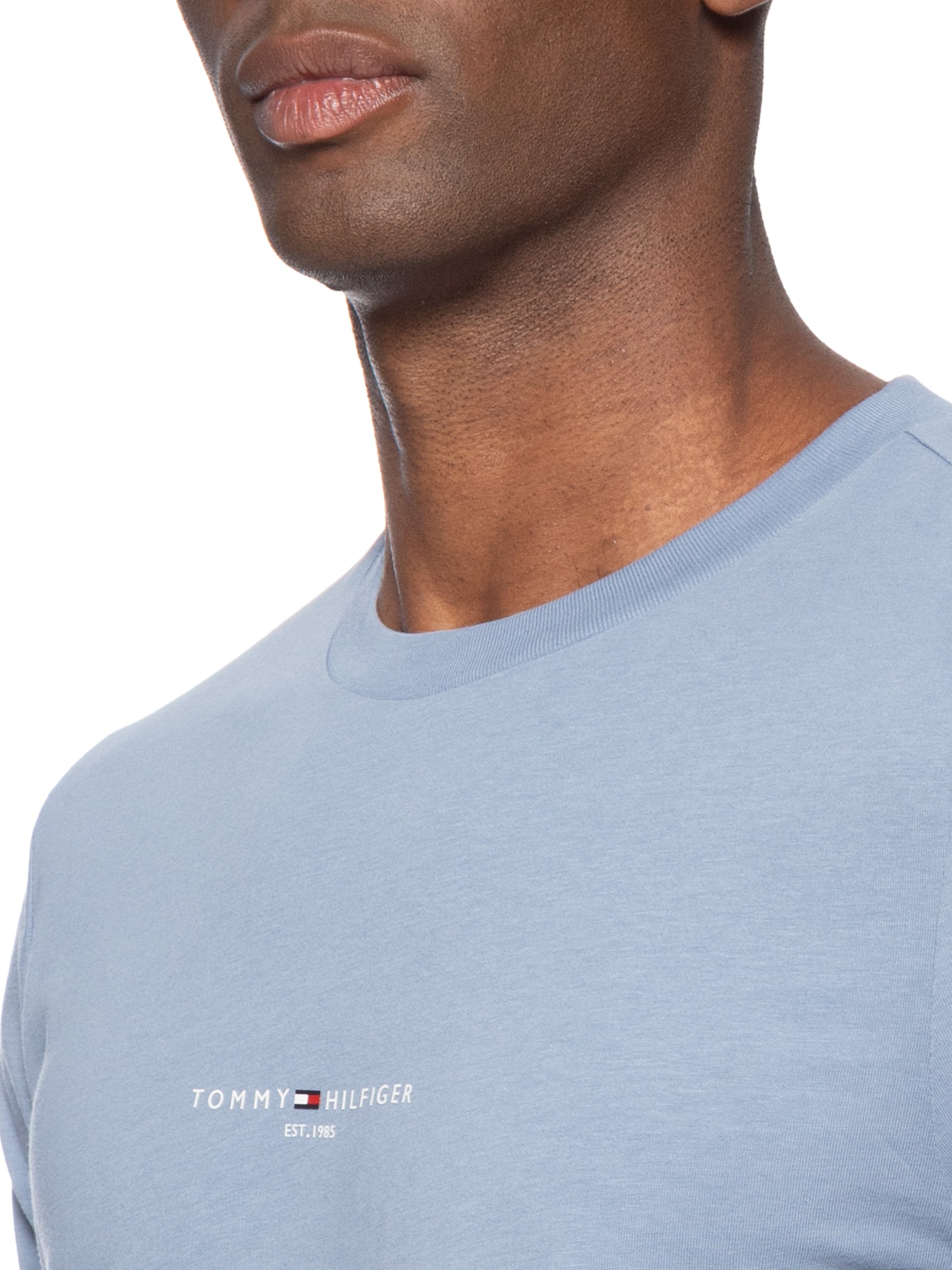 Camiseta Masculina Regular Fit Tipped Com Friso Azul Tommy Hilfiger