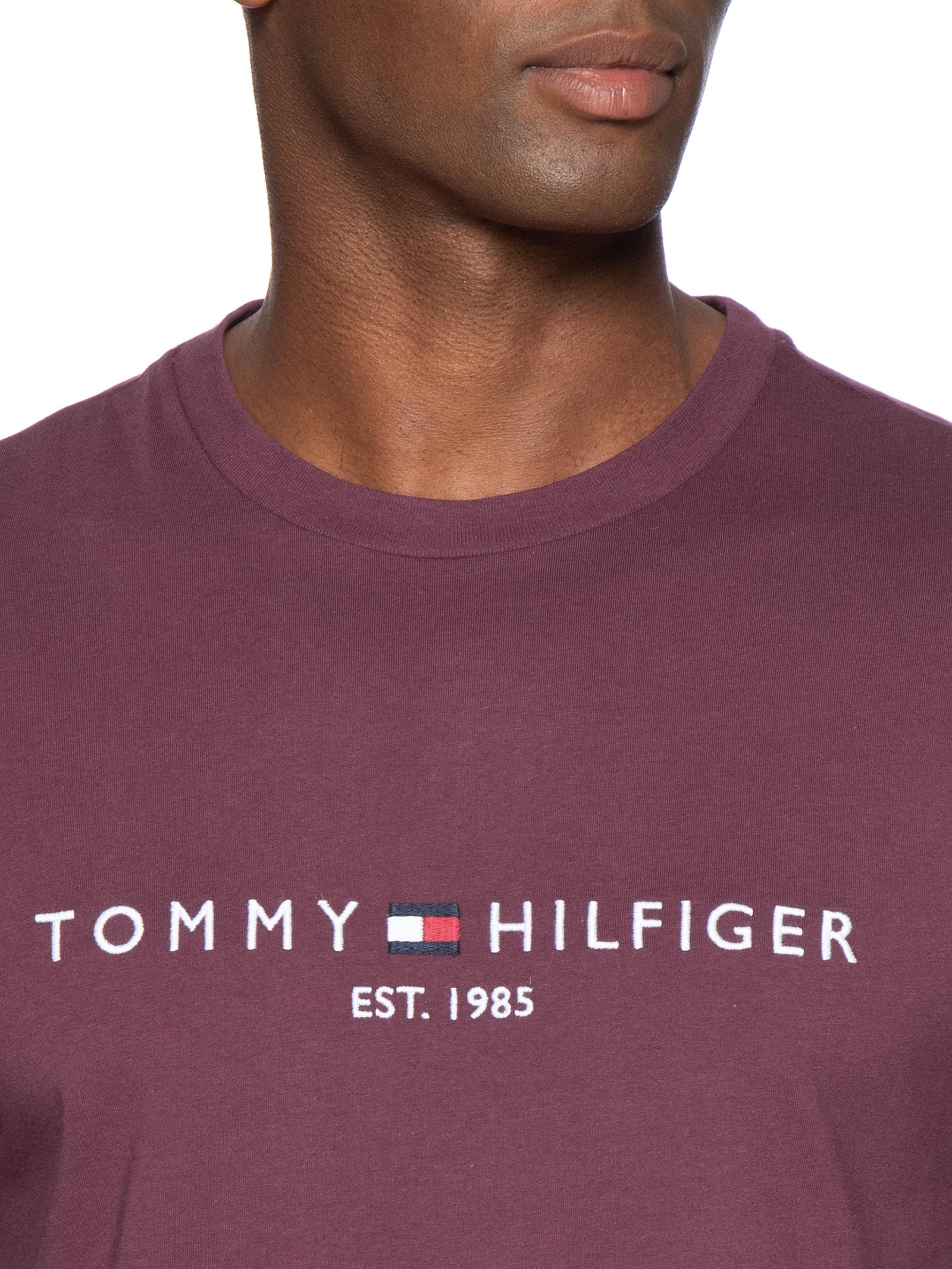 Camiseta Masculina Regular Fit Vermelho Tommy Hilfiger