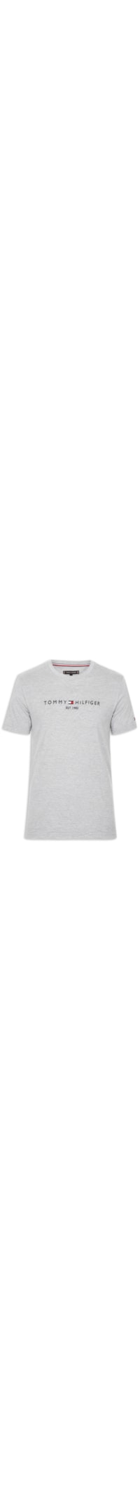 Camiseta Masculina Regular Gola Careca Com Logo - Cinza