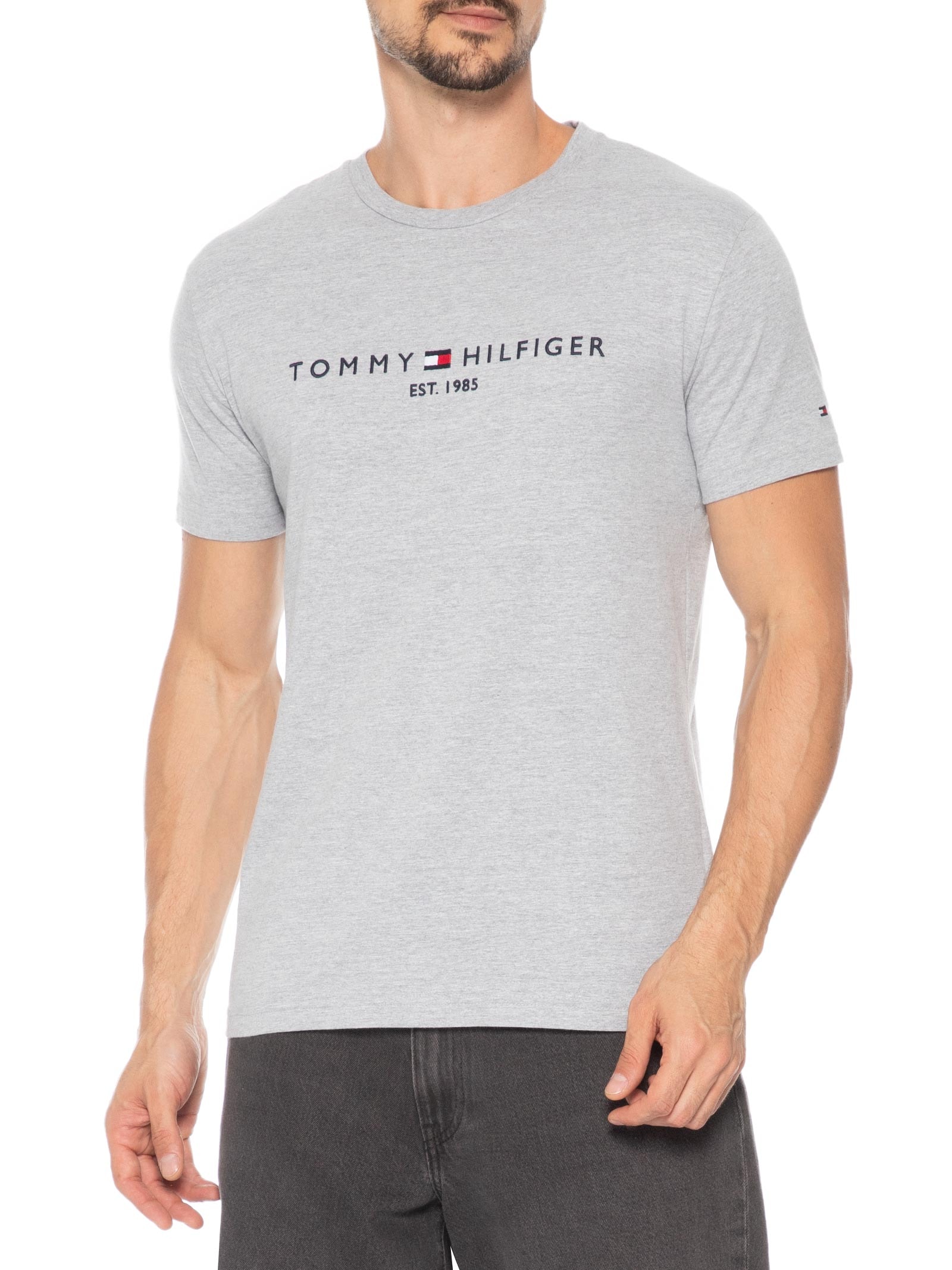 Camiseta Masculina Regular Gola Careca Com Logo Cinza Tommy Hilfiger