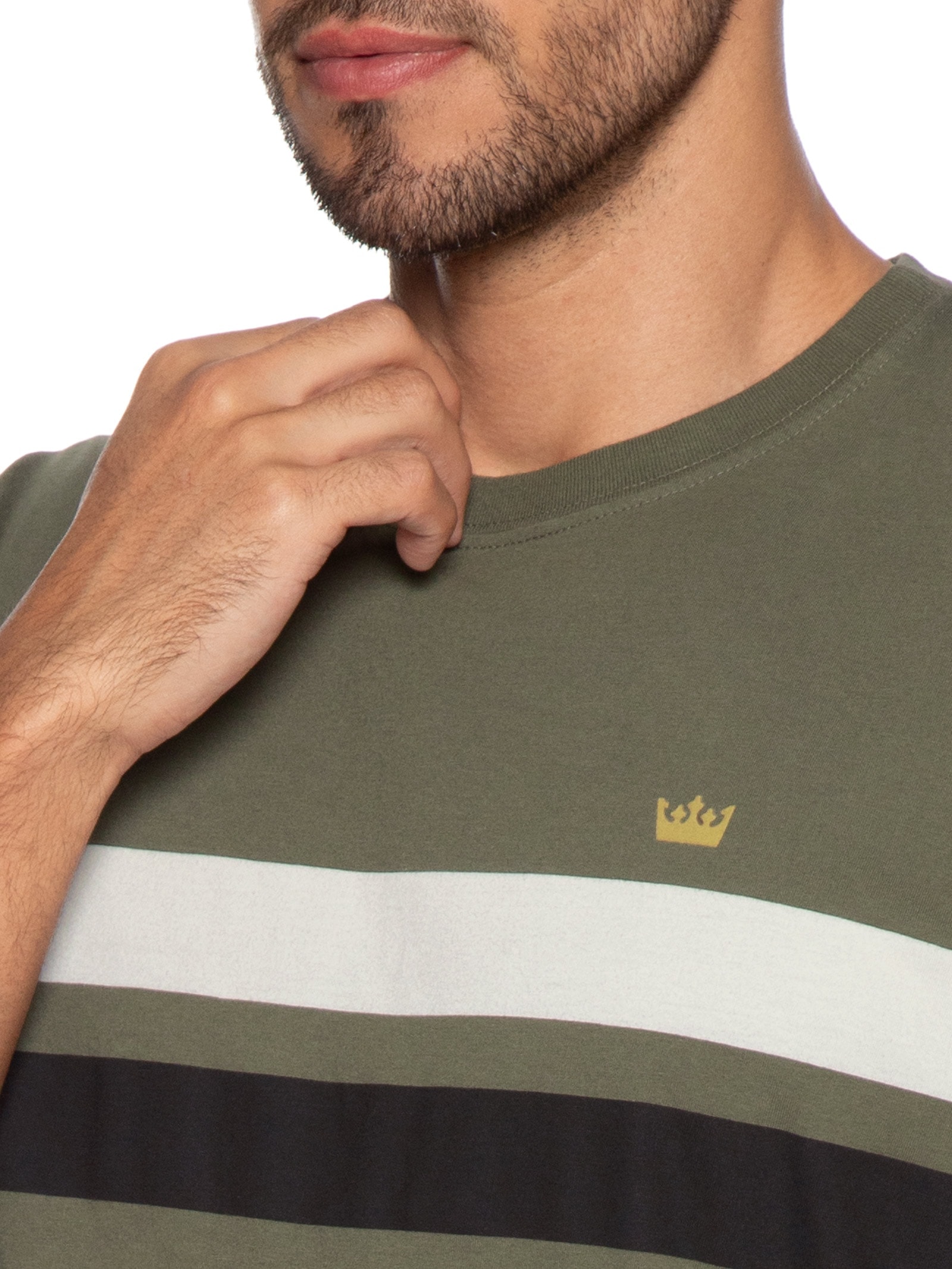 Camiseta Masculina Regular Vintage List Bicolor Verde Osklen