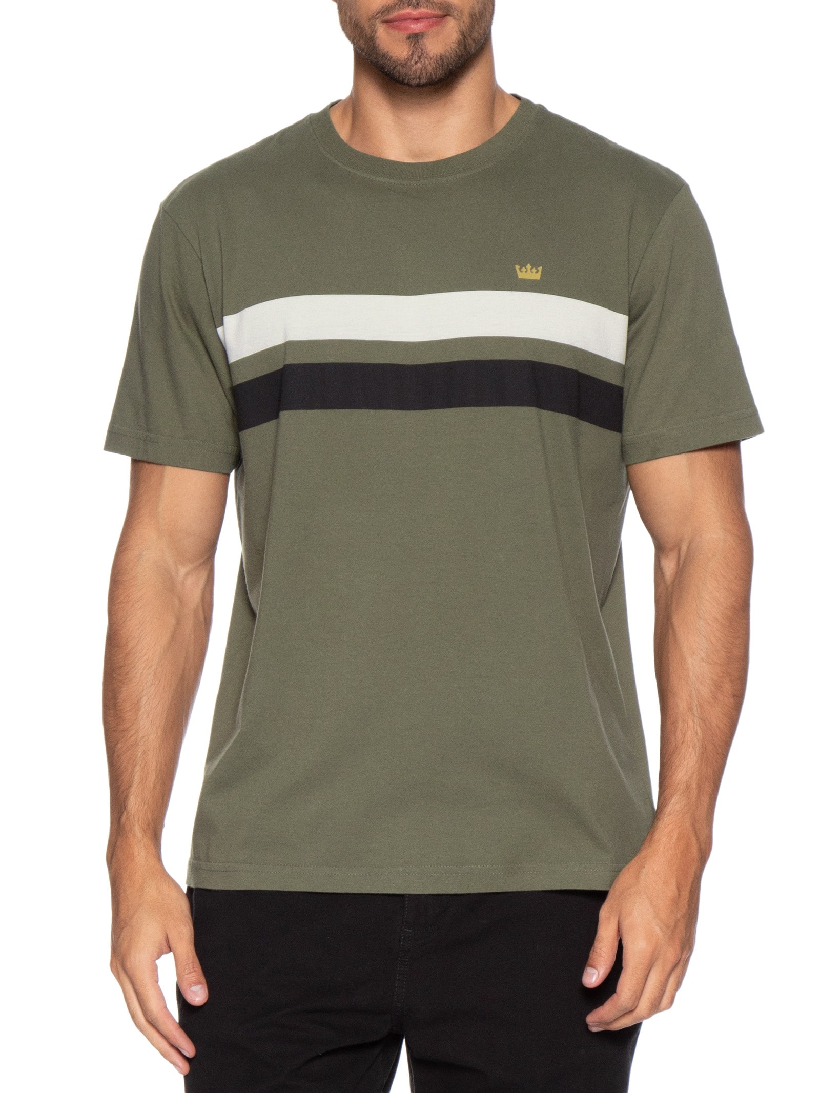 Camiseta Masculina Regular Vintage List Bicolor Verde Osklen