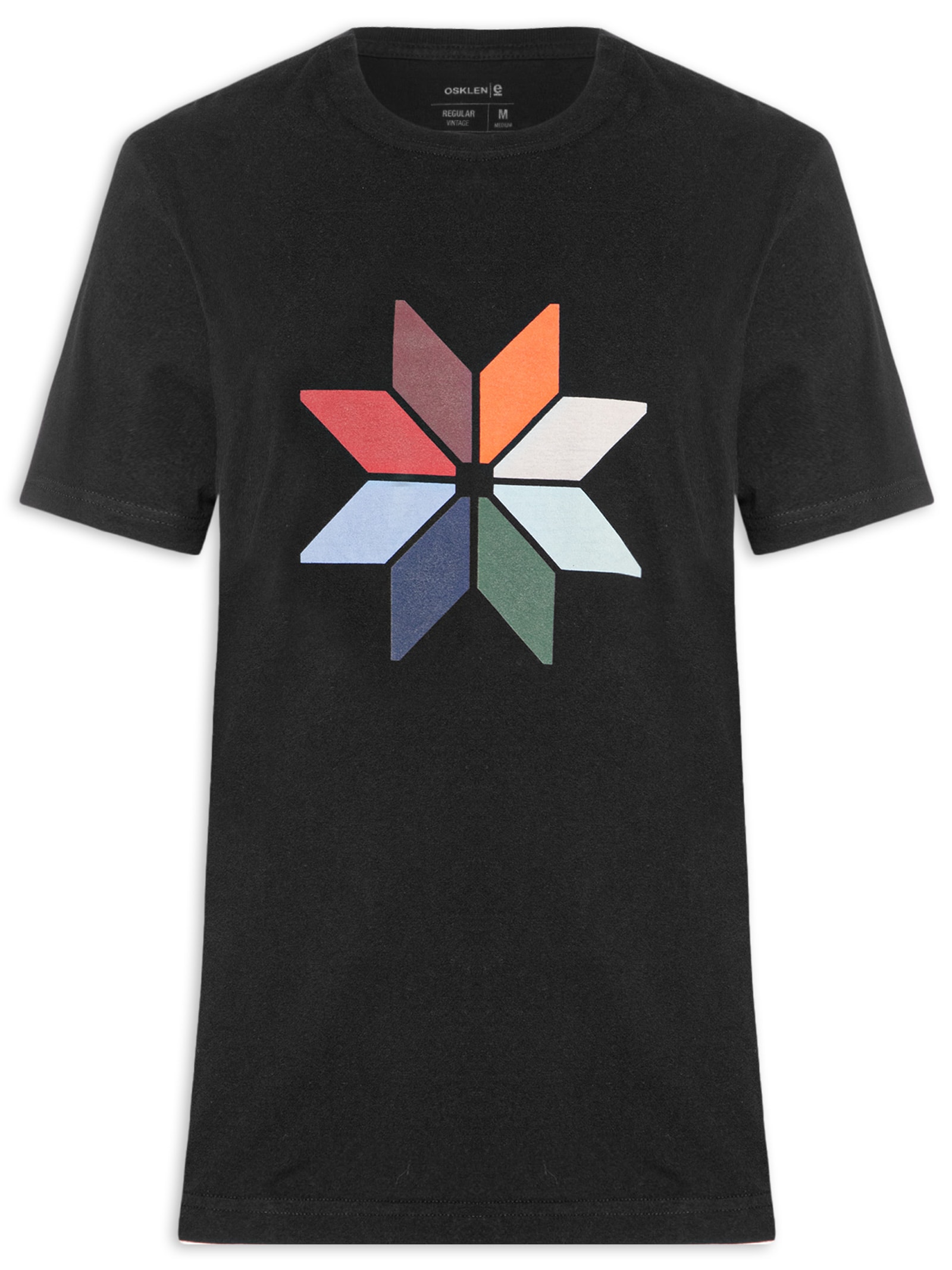 Camiseta Masculina Regular Vintage Snow Icon Preto Osklen