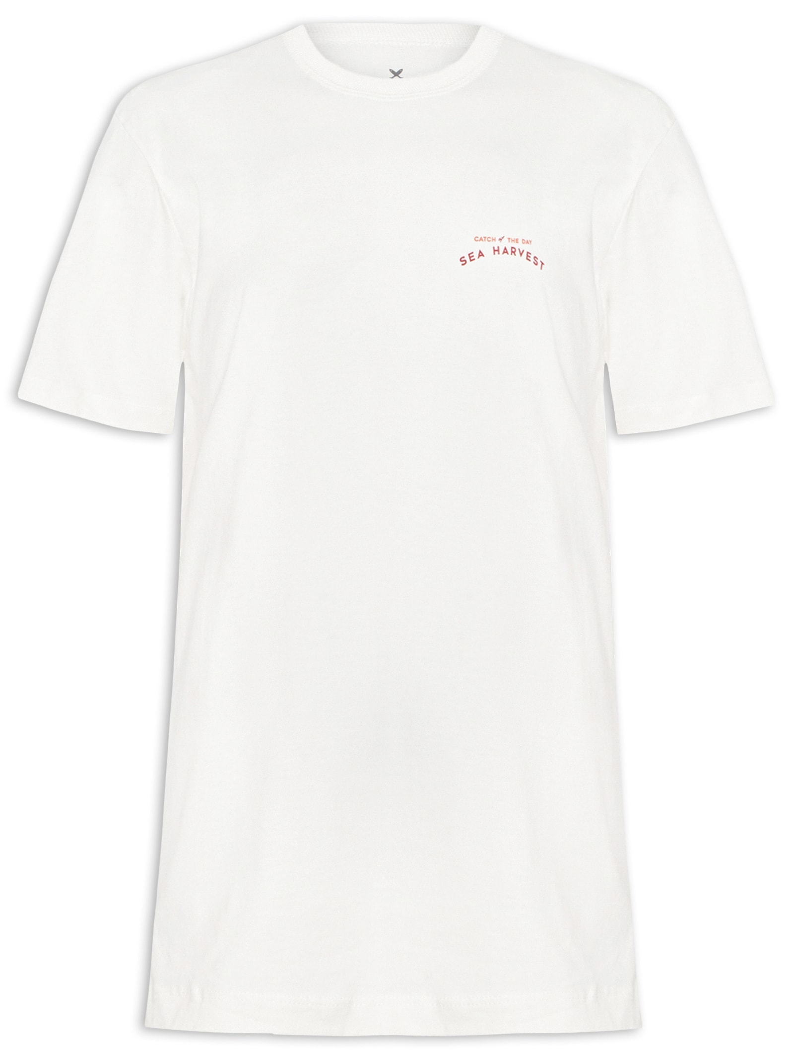 Camiseta Masculina Relaxed Fit Estampada Branco Hering