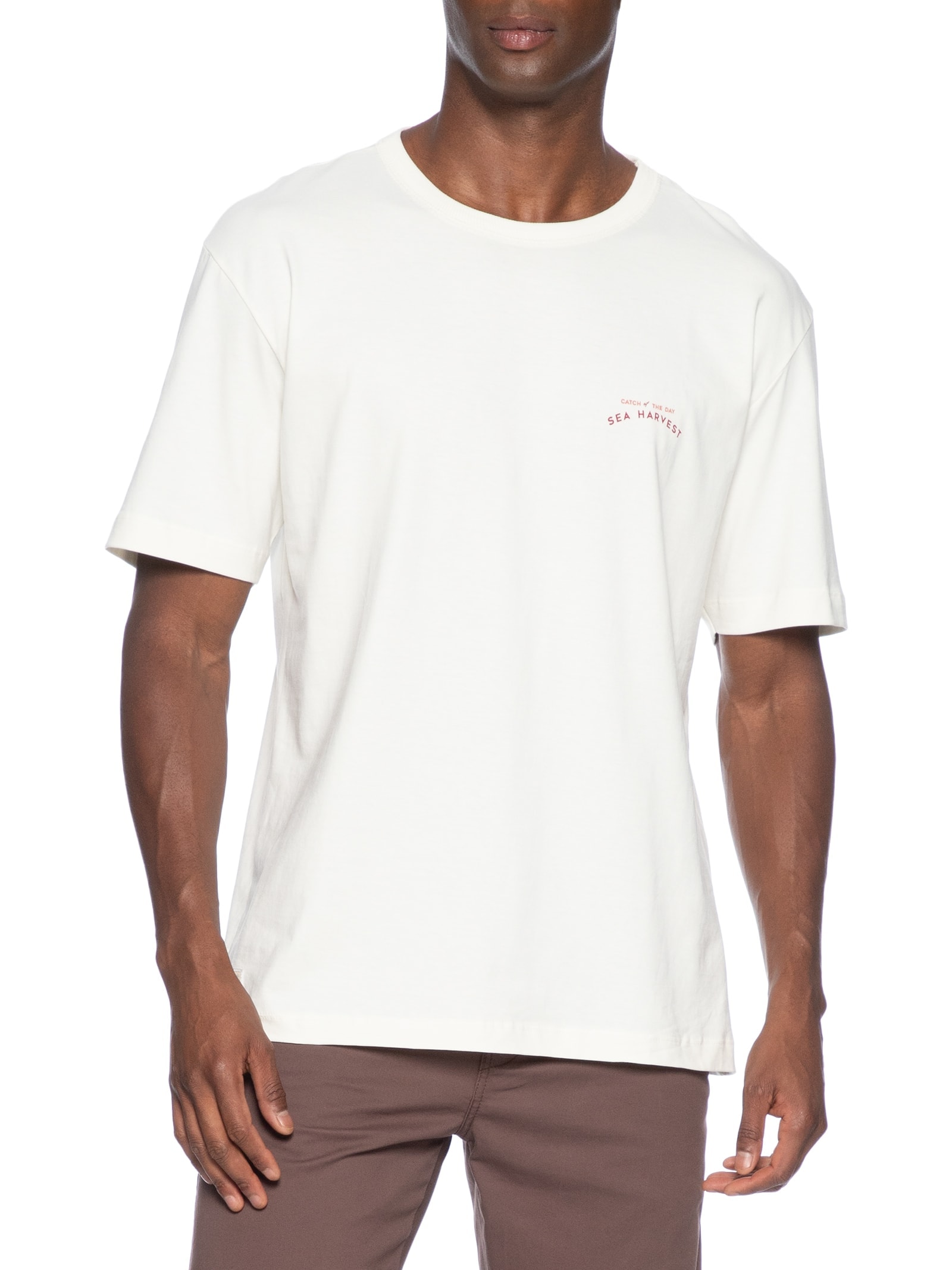 Camiseta Masculina Relaxed Fit Estampada Branco Hering