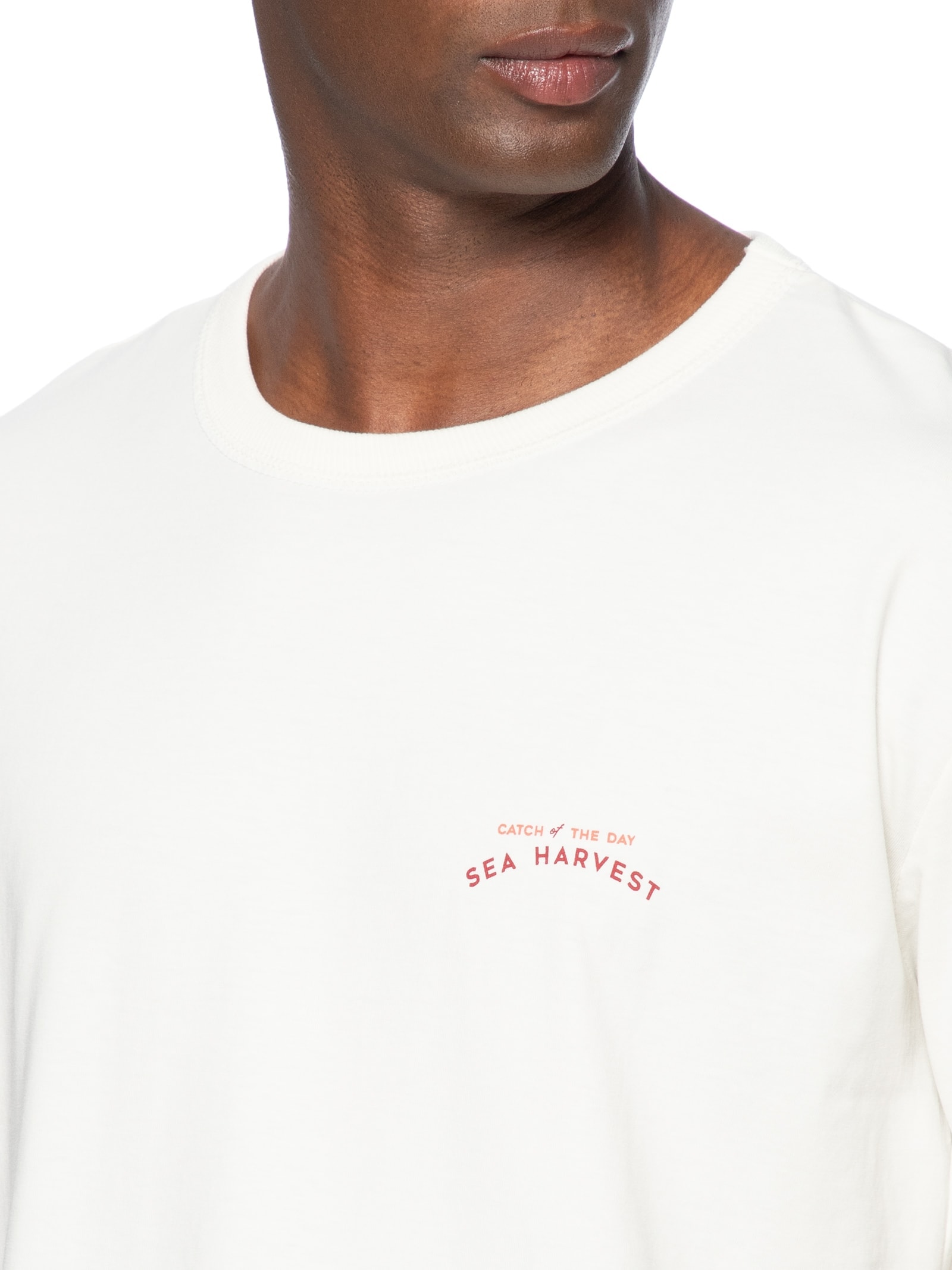 Camiseta Masculina Relaxed Fit Estampada Branco Hering