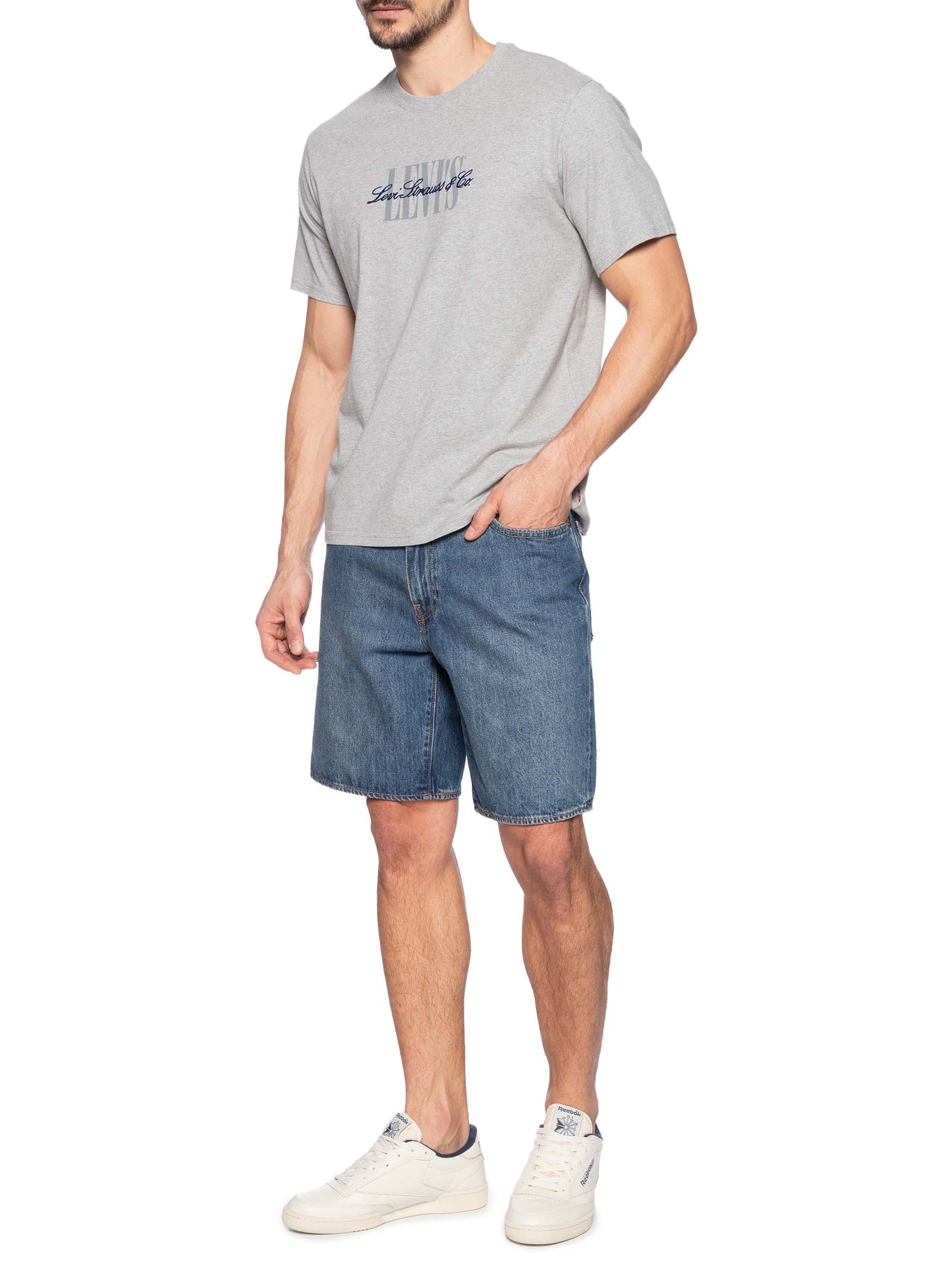 Camiseta Masculina Relaxed Fit SS Graphic Cinza Levi's