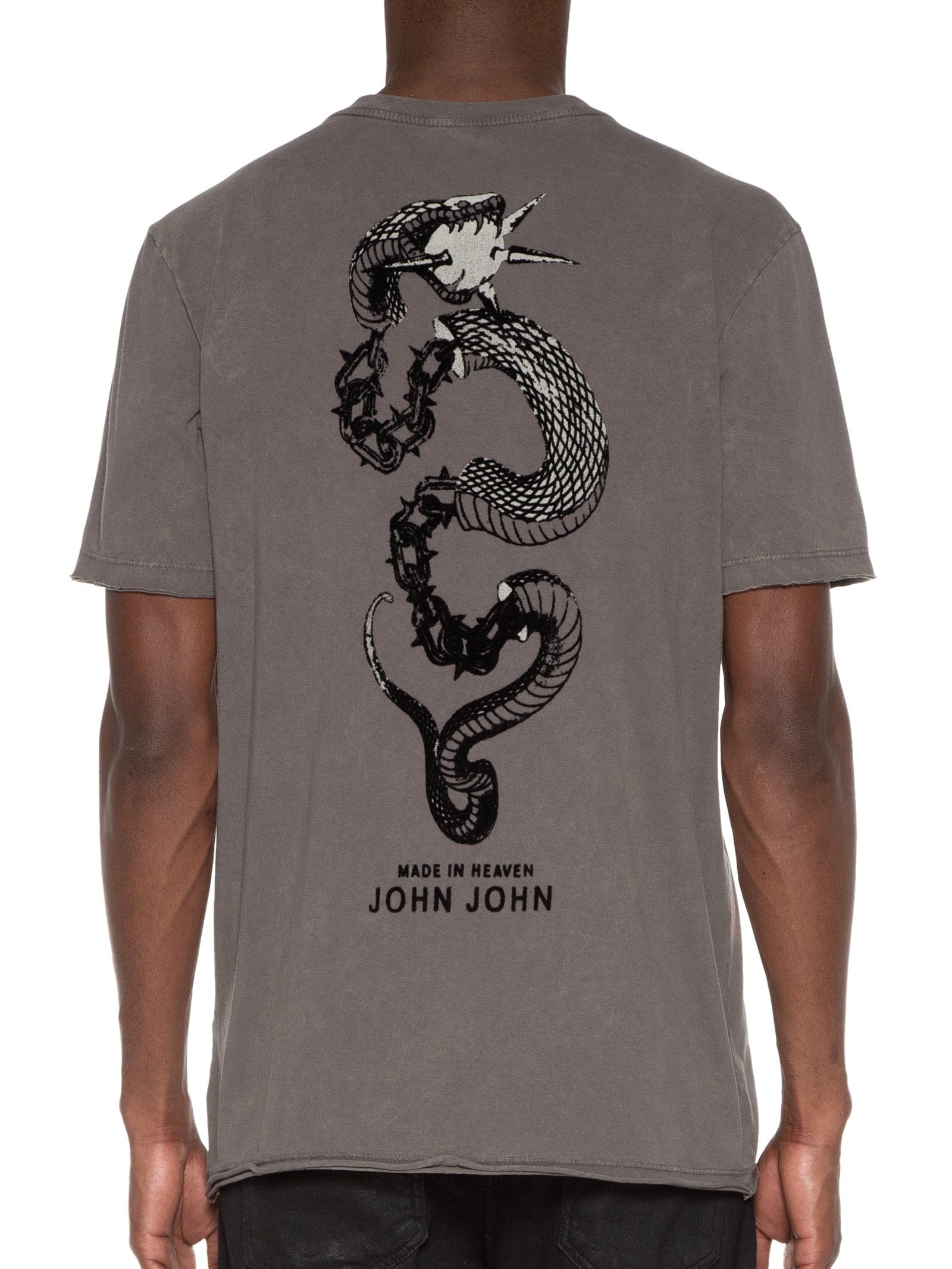 Camiseta Masculina Rg Snake Brown Marrom John John