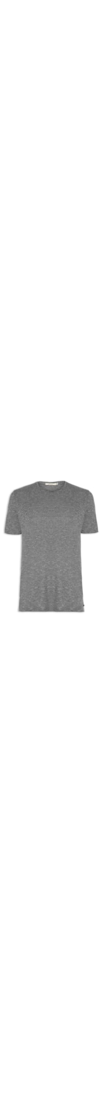 Camiseta Masculina Roxies - Cinza