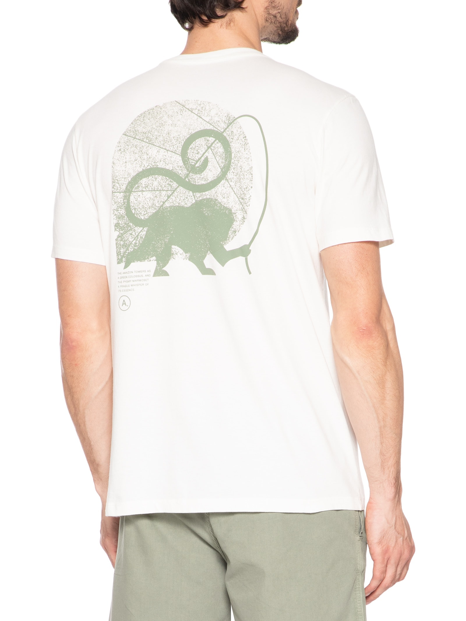 Camiseta Masculina Sagui Branco Austral