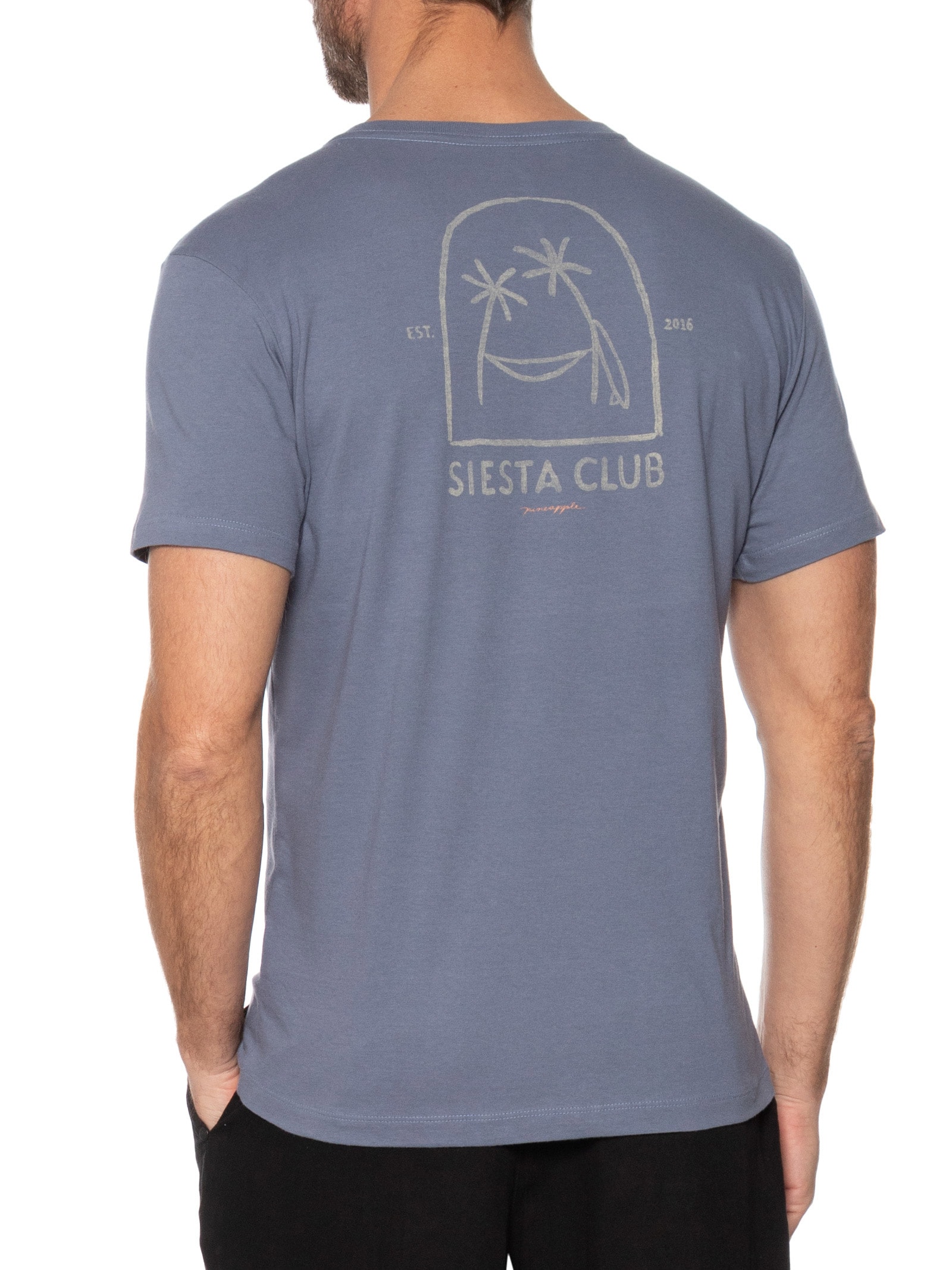 Camiseta Masculina Silk da Siesta Club Azul  Pineapple