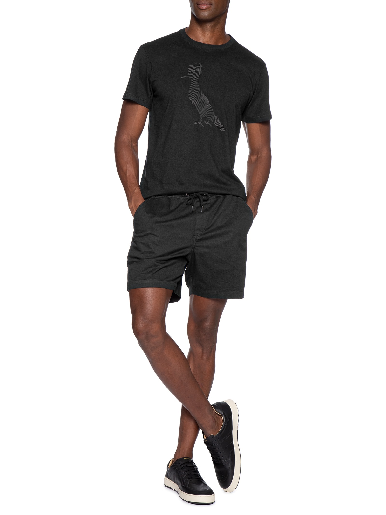 Camiseta Masculina Slim Estampada Pica Pau Waves Preto Reserva