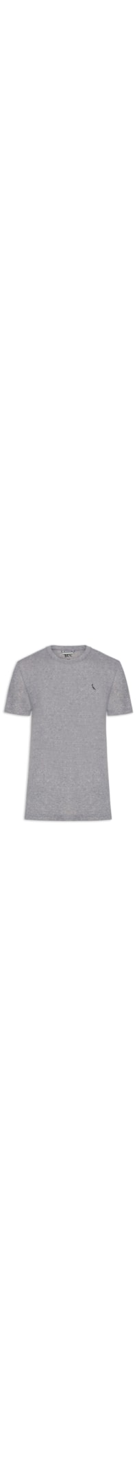 Camiseta Masculina Slim Malha - Cinza