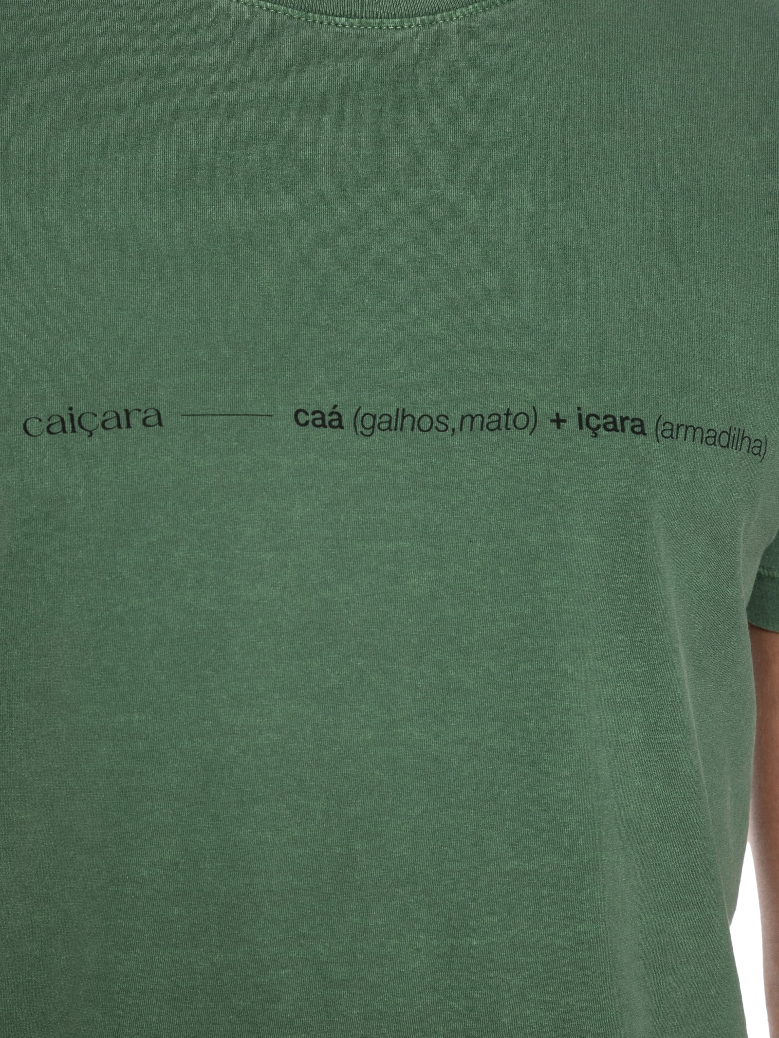 Camiseta Masculina Slim Stone Caiçara Manga Curta Verde Osklen