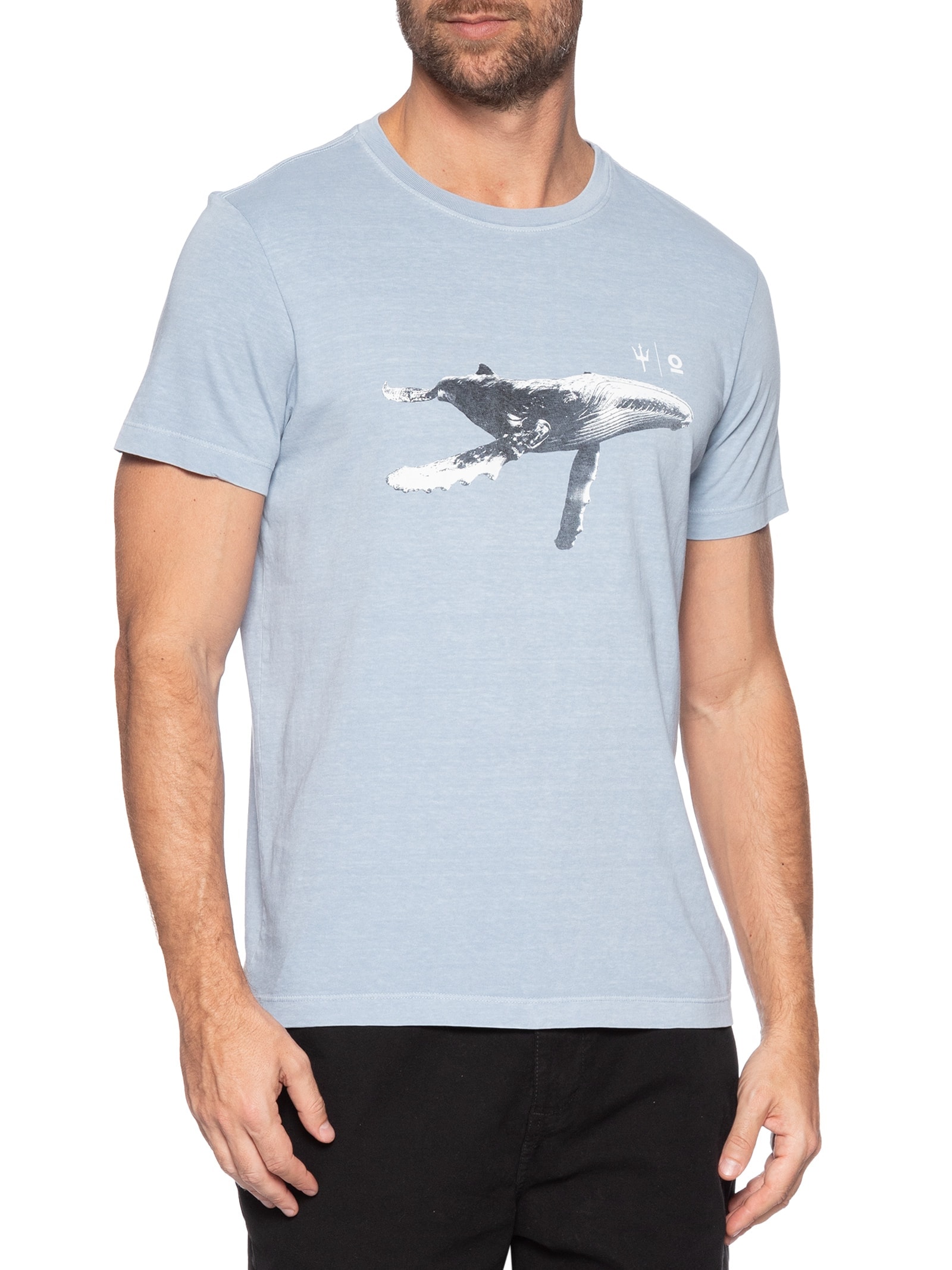 Camiseta Masculina Slim Stone Jubarte Azul Osklen