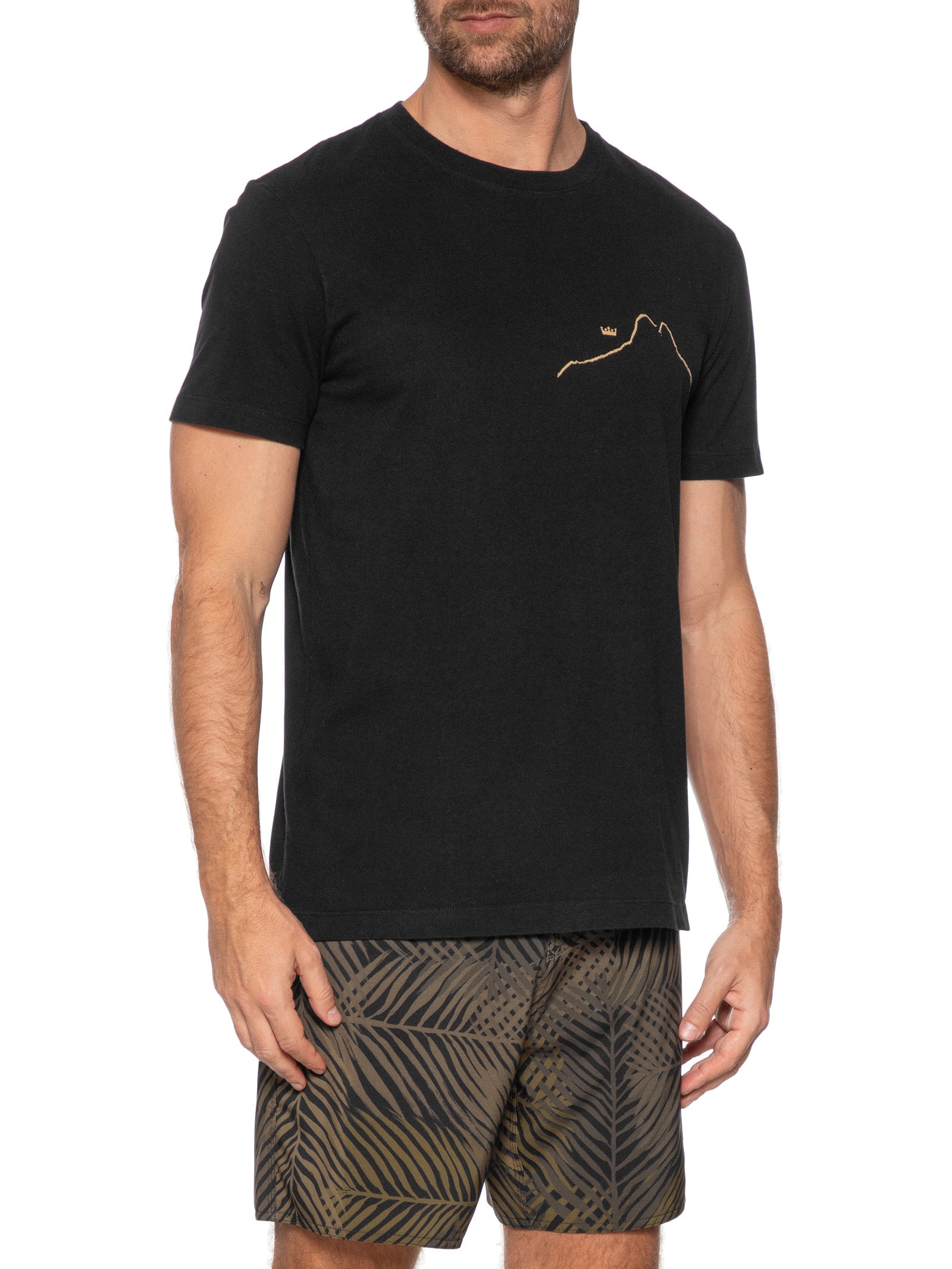 Camiseta Masculina Slim Vintage Regenerate Life Preto  Osklen
