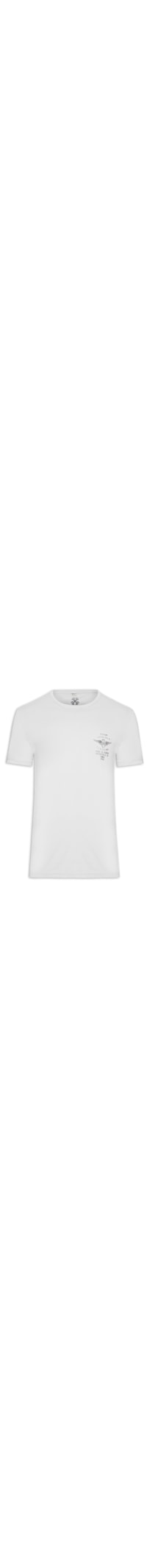 Camiseta Masculina Slim Wheel Flag - Cinza