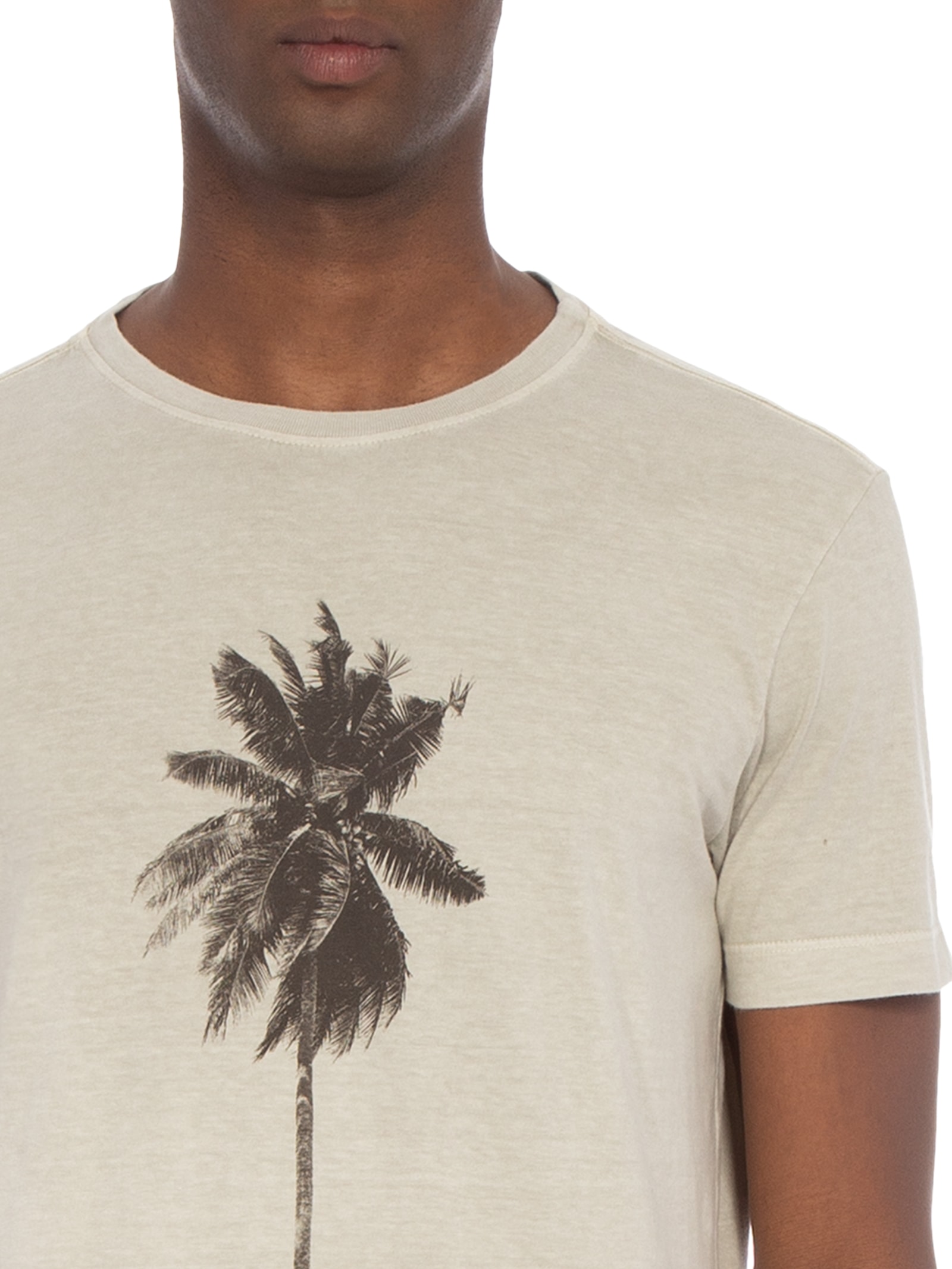 Camiseta Masculina Stone Coqueiro Osklen