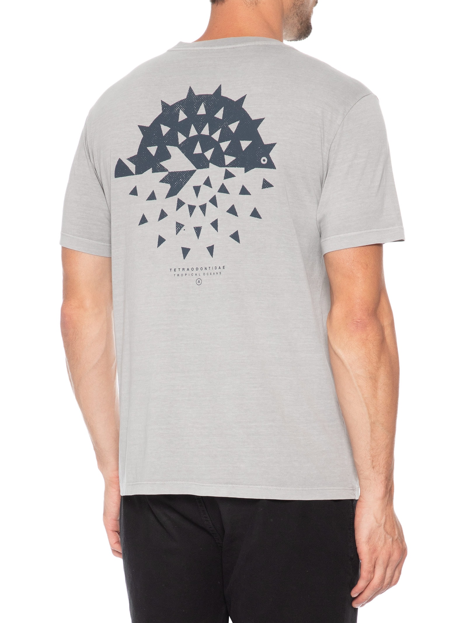 Camiseta Masculina Stone Estampa Blowf Cinza Austral