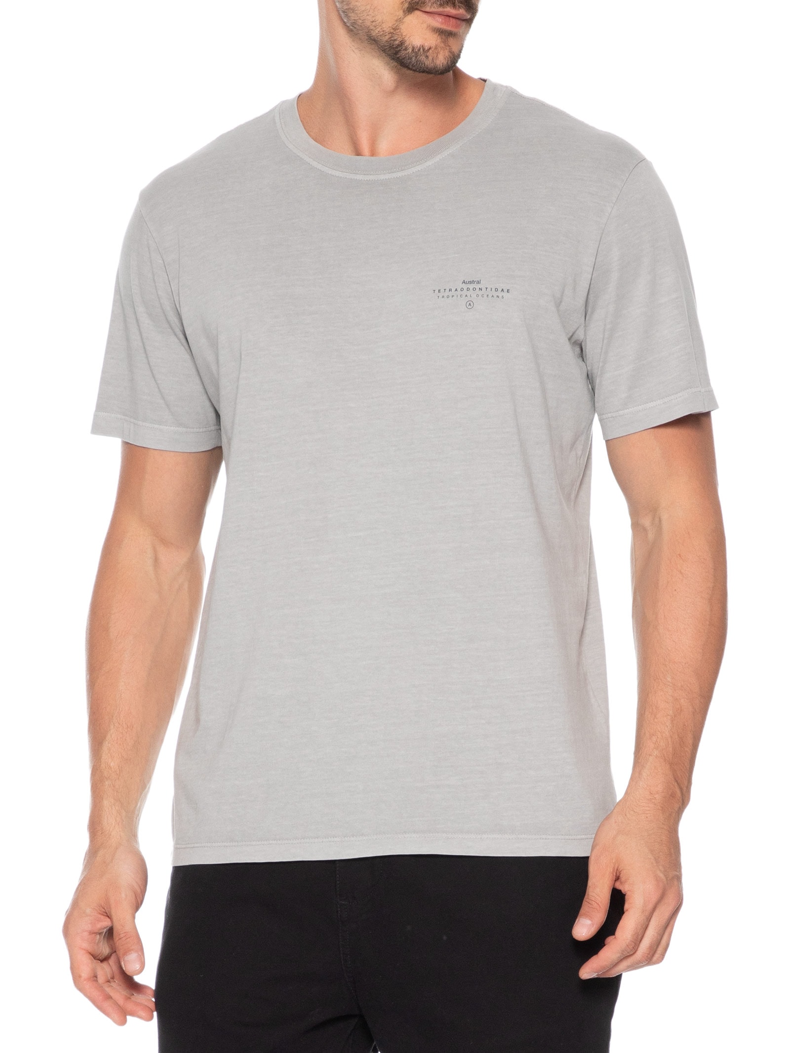 Camiseta Masculina Stone Estampa Blowf Cinza Austral