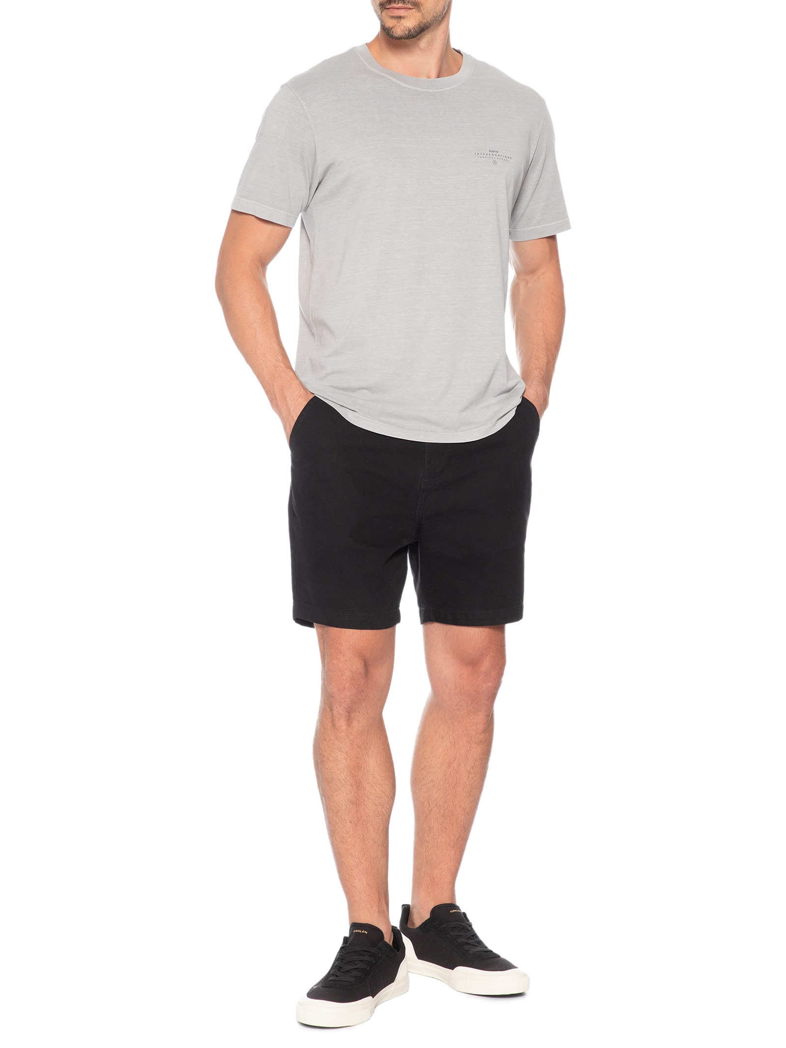 Camiseta Masculina Stone Estampa Blowf Cinza Austral
