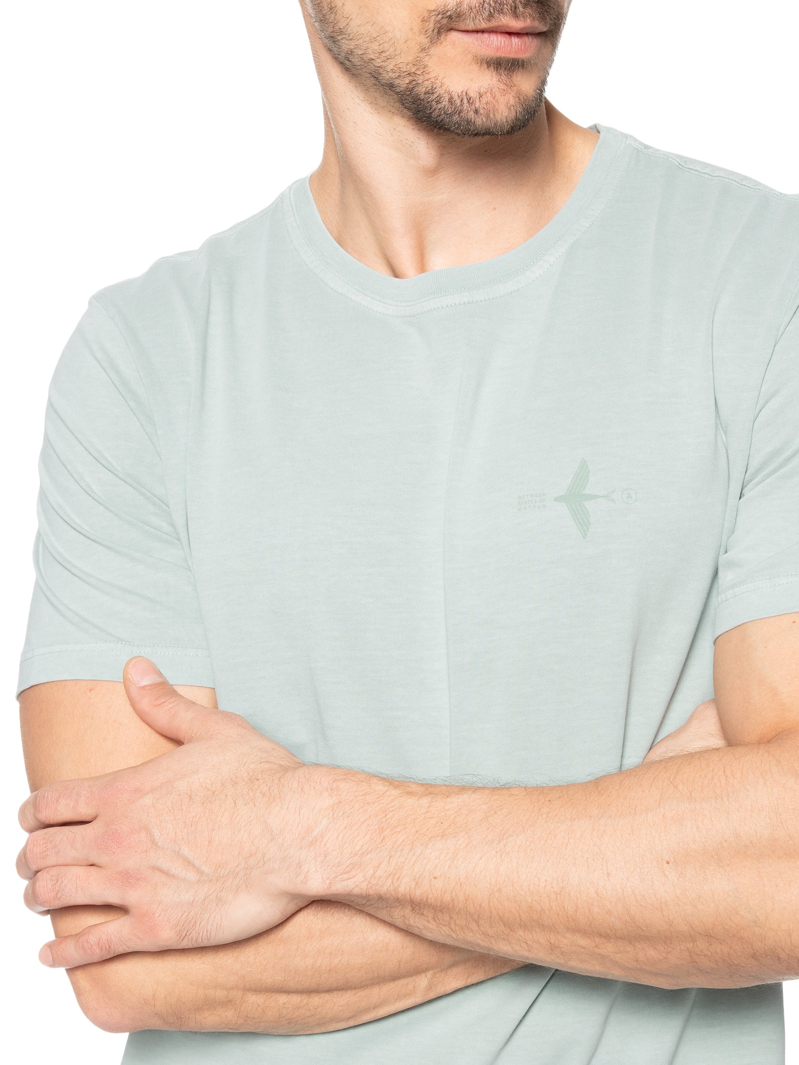 Camiseta Masculina Stone Estampada Flyin Verde Austral