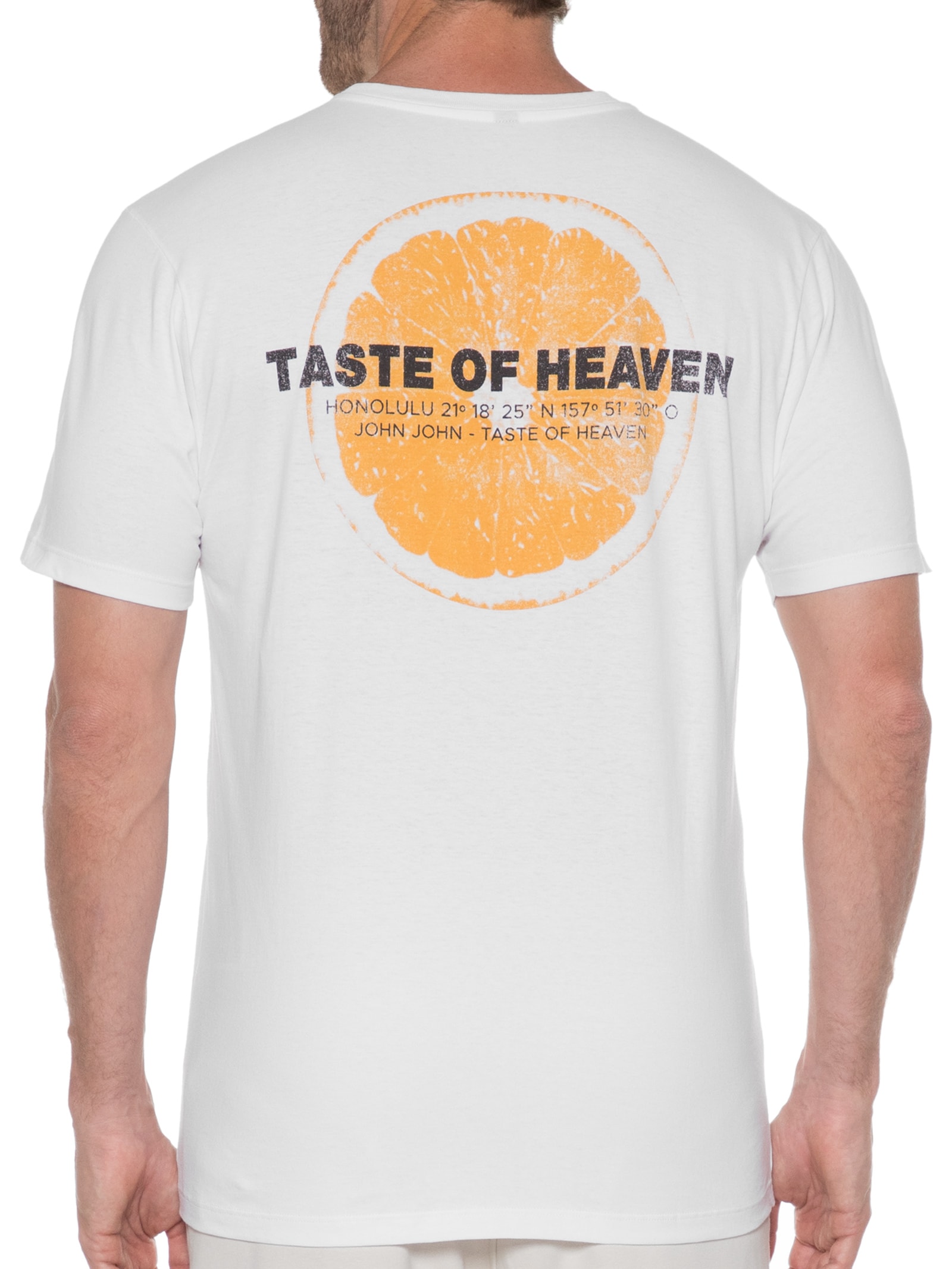 Camiseta Masculina Taste Of Heaven Branco John John