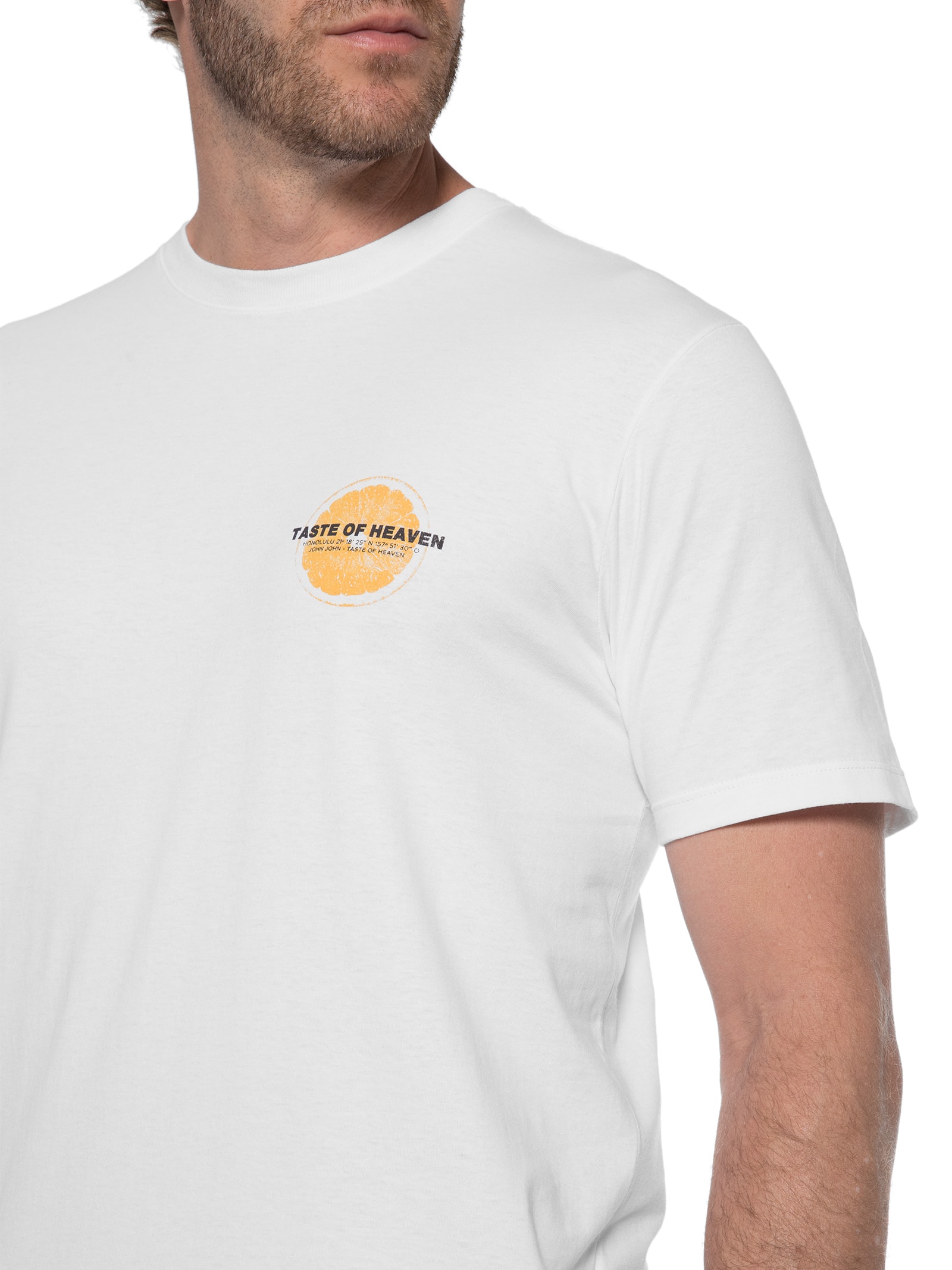 Camiseta Masculina Taste Of Heaven Branco John John