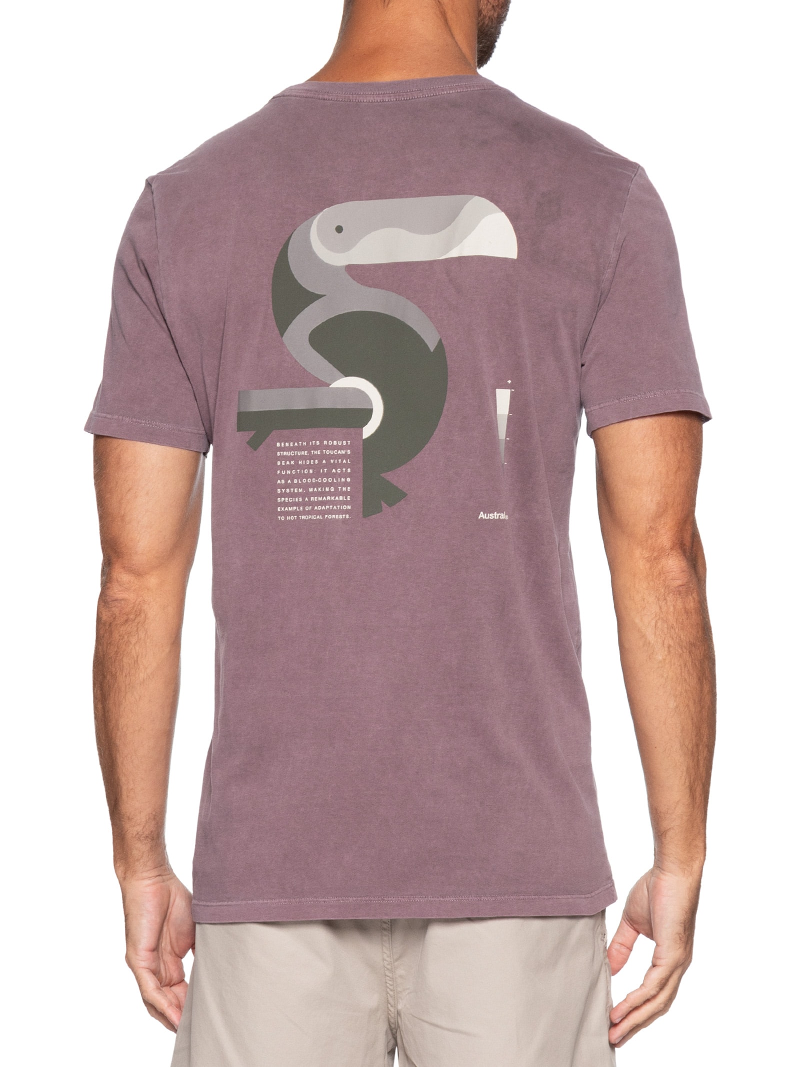 Camiseta Masculina Thermoregulation Vermelho Austral