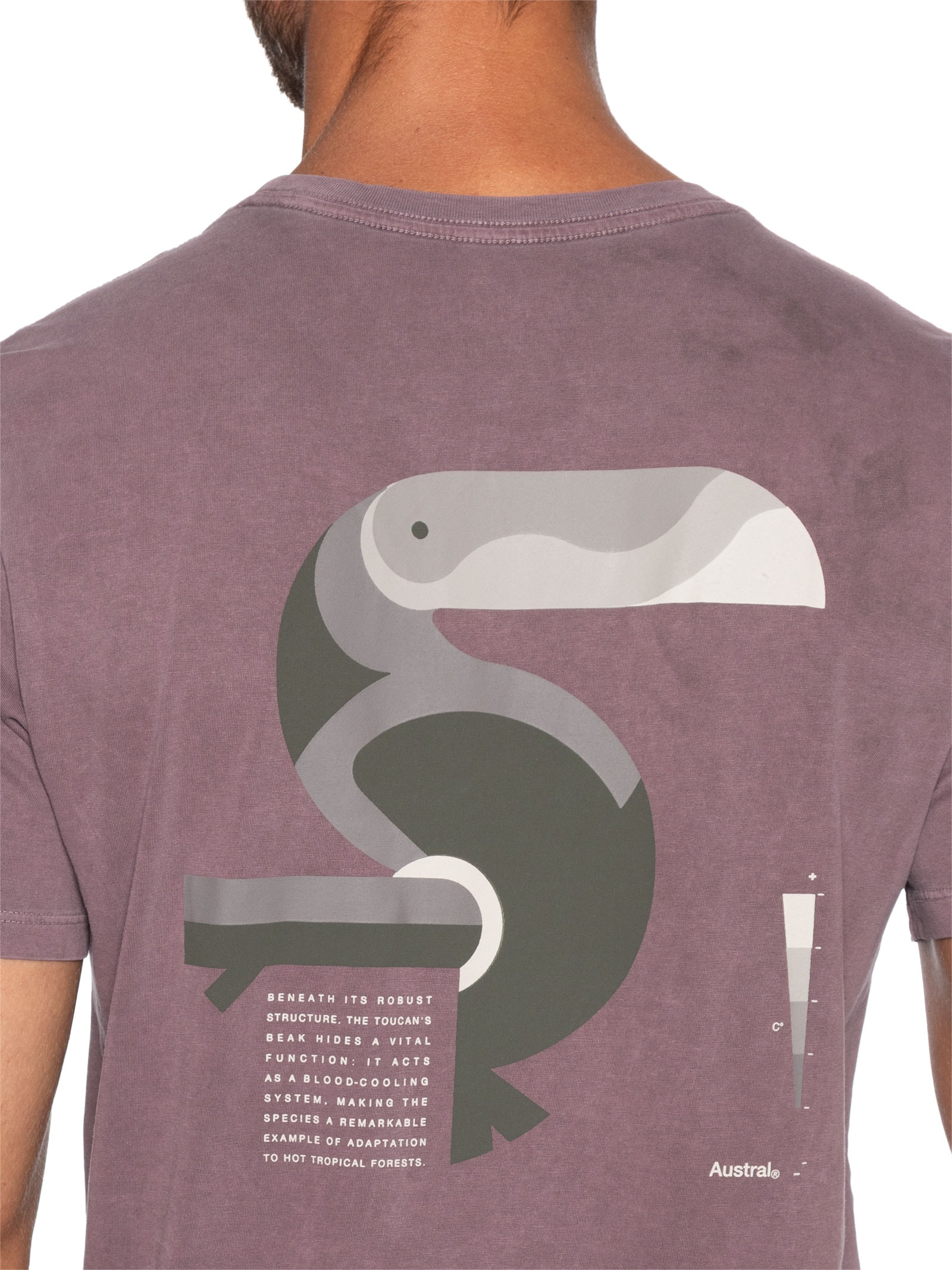 Camiseta Masculina Thermoregulation Vermelho Austral