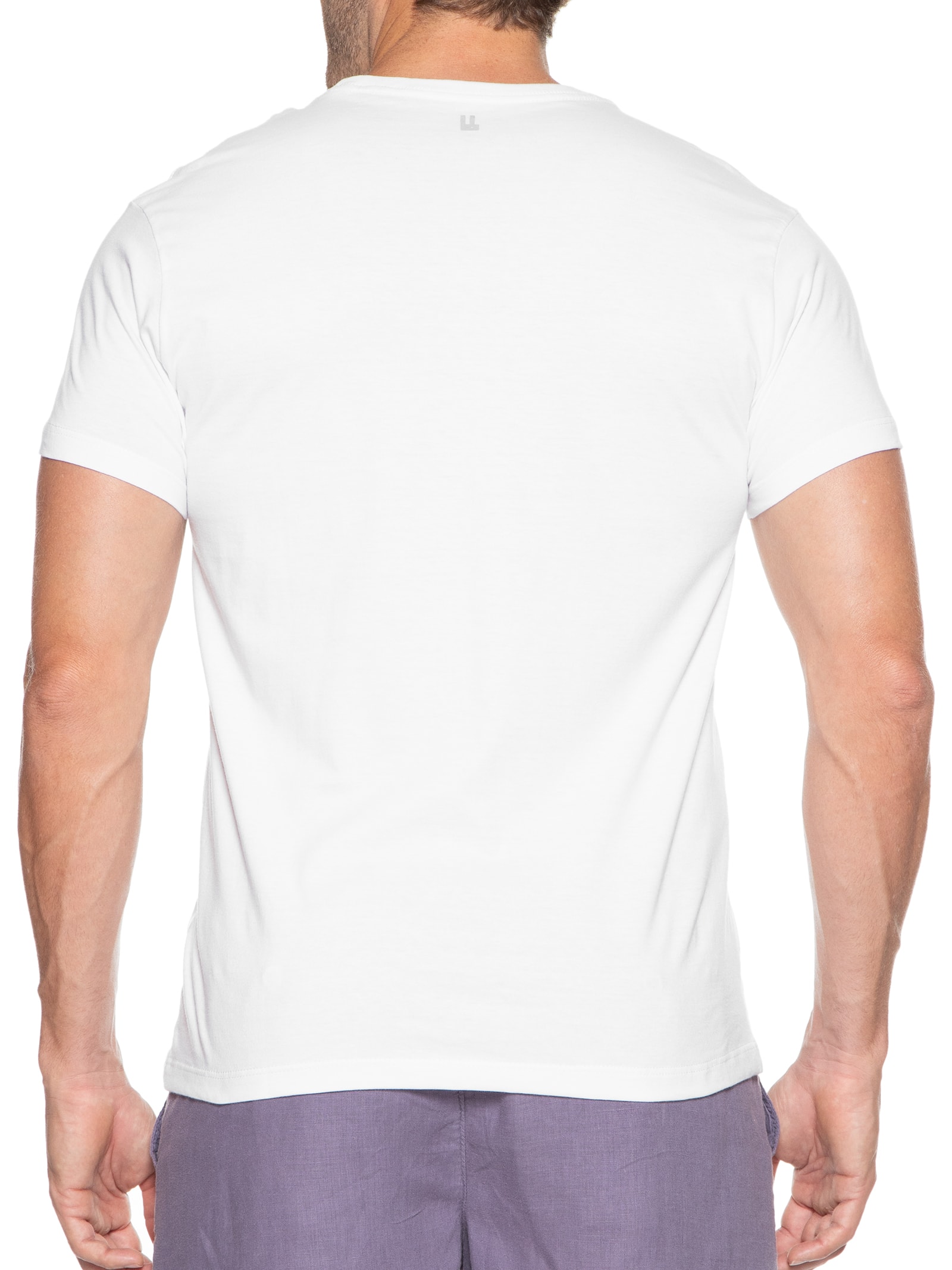 Camiseta Masculina Tropical Geometry Branco Foxton