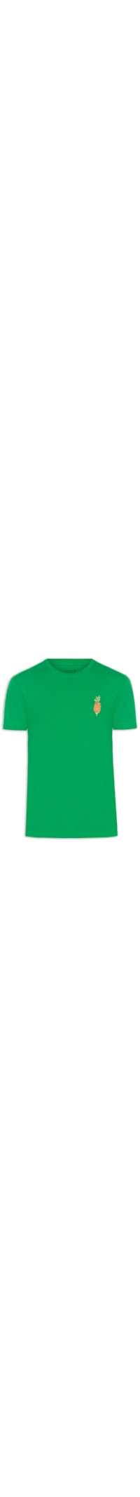 Camiseta Masculina Vintage Abacaxi Naif Color - Verde