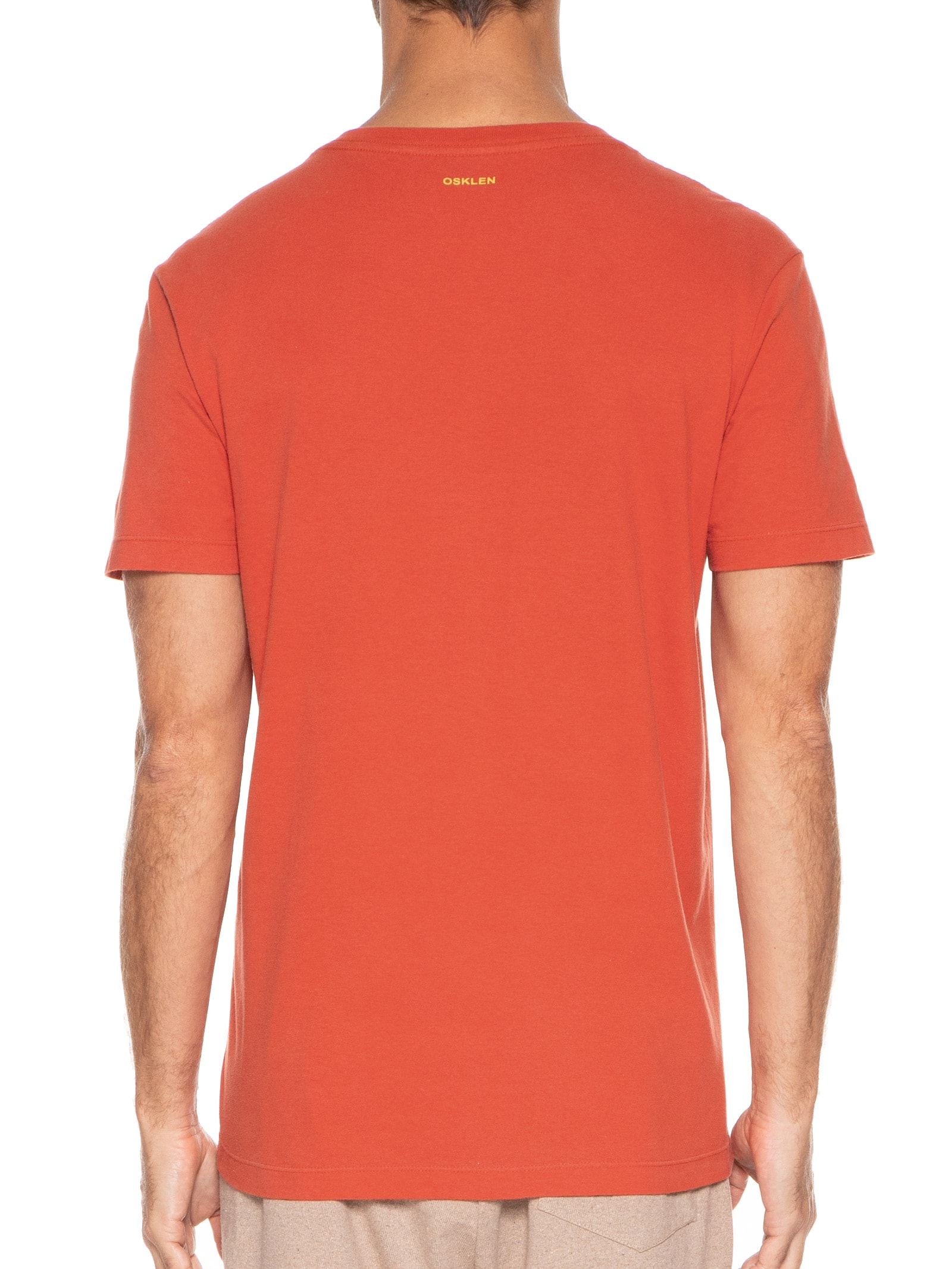 Camiseta Masculina Vintage Abacaxil Vermelho Osklen